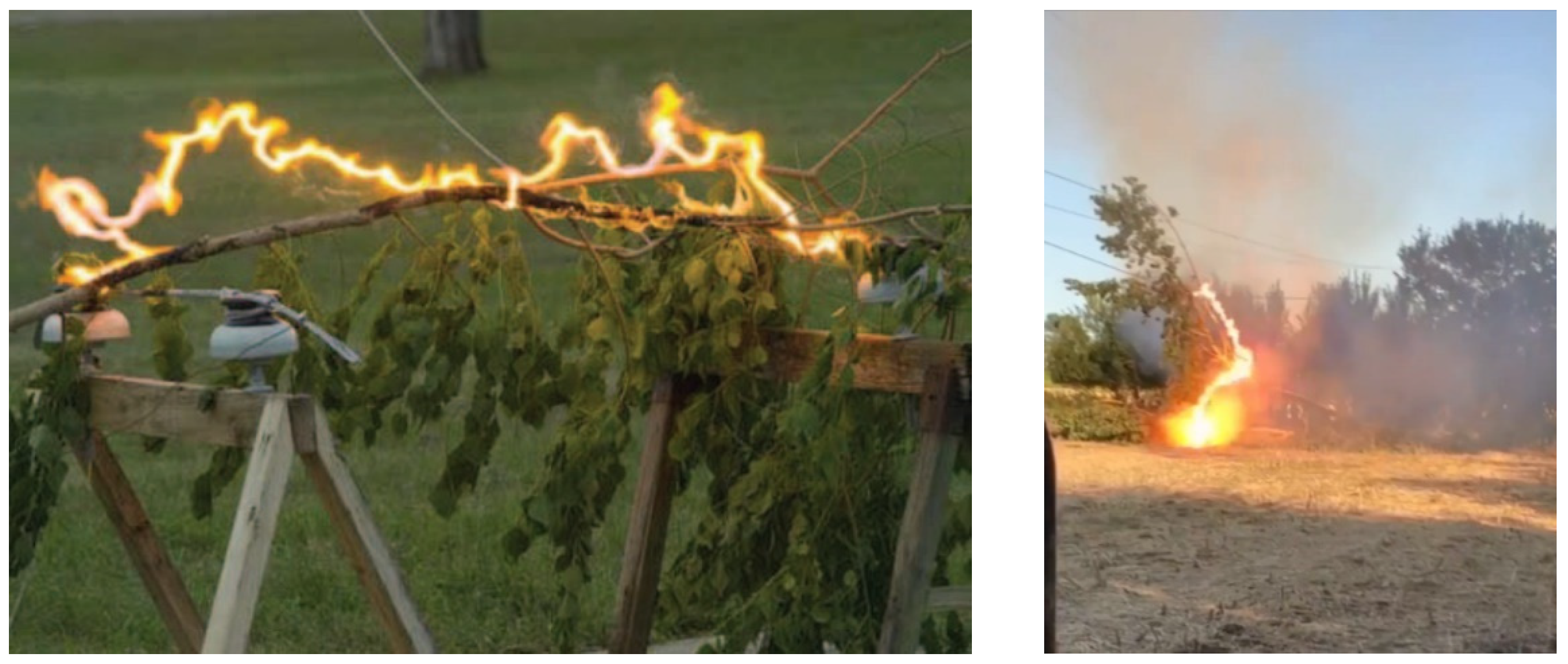 Forests 14 01146 g002