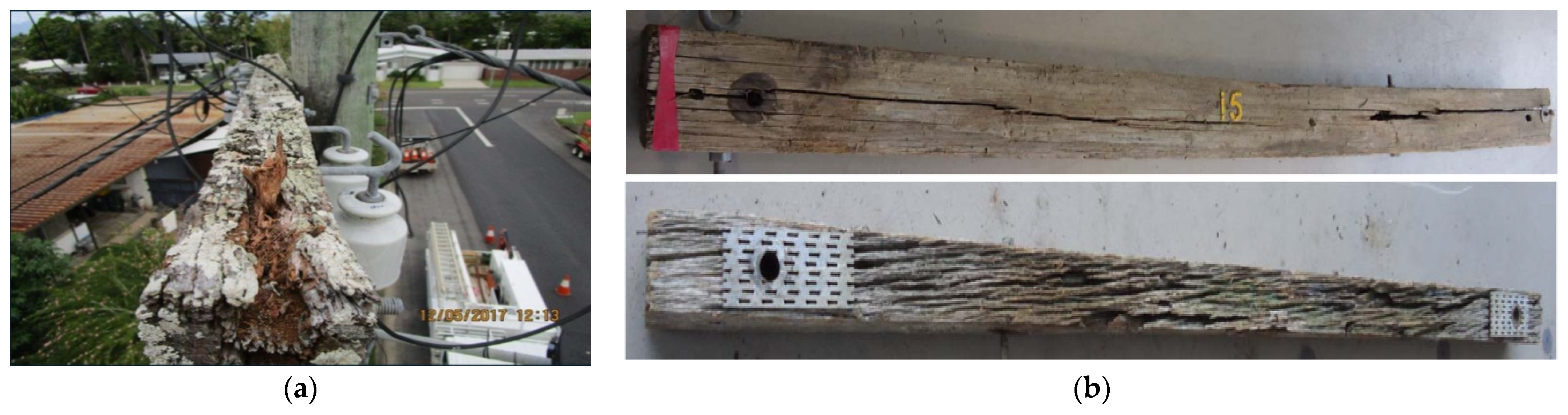 Forests 14 01146 g004