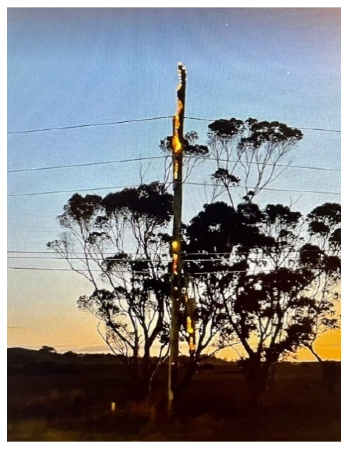 Forests 14 01146 g005