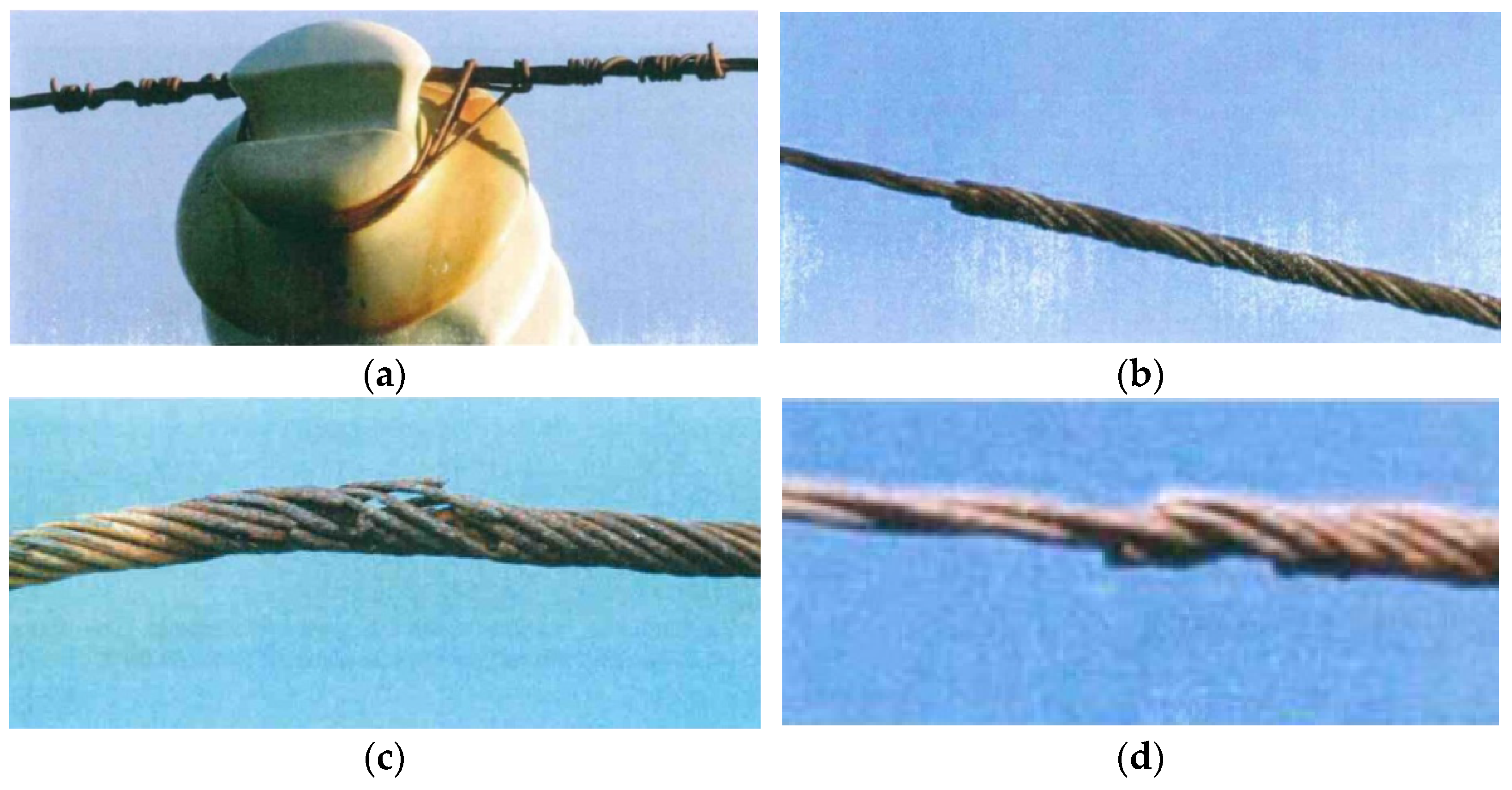 Forests 14 01146 g006