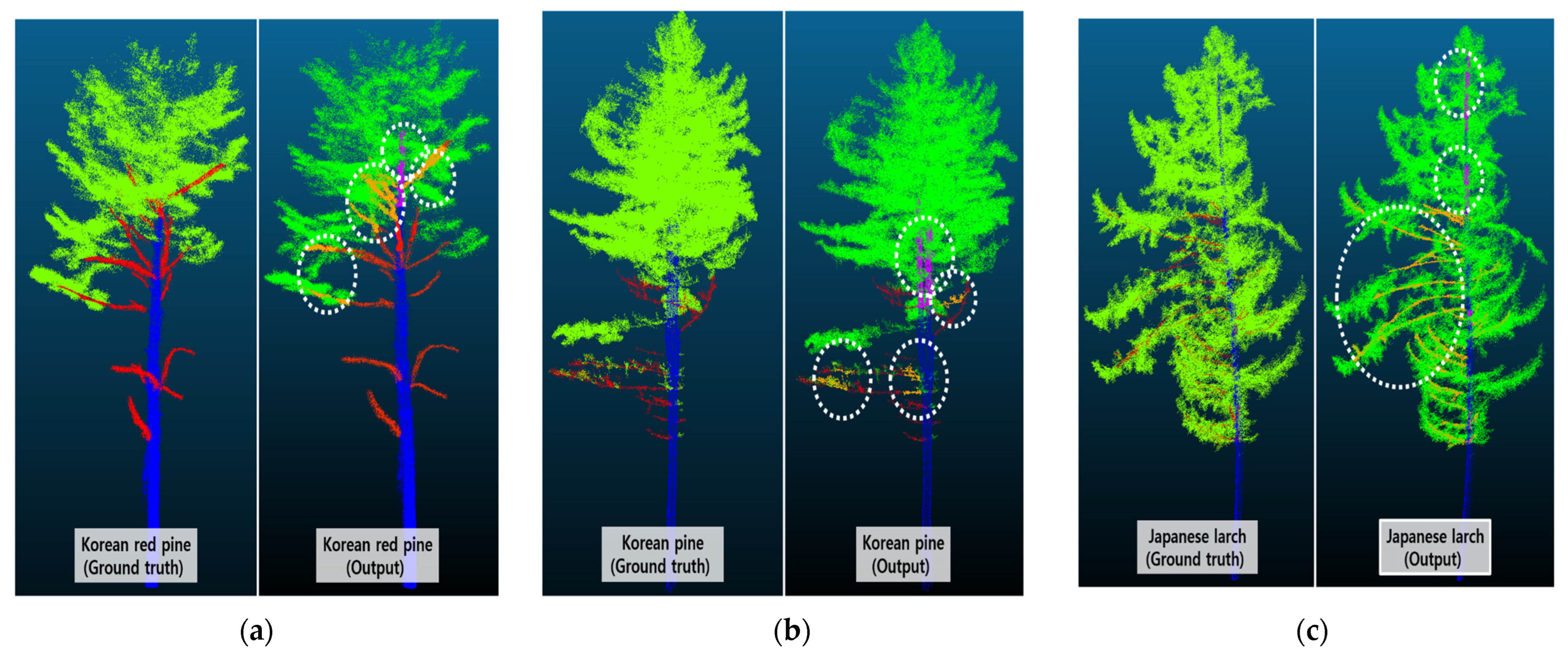 Forests 14 01159 g006