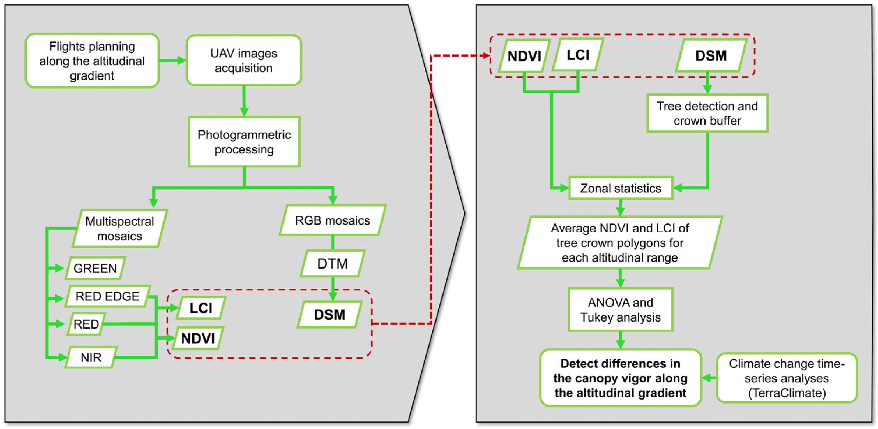 Forests 14 01176 g004