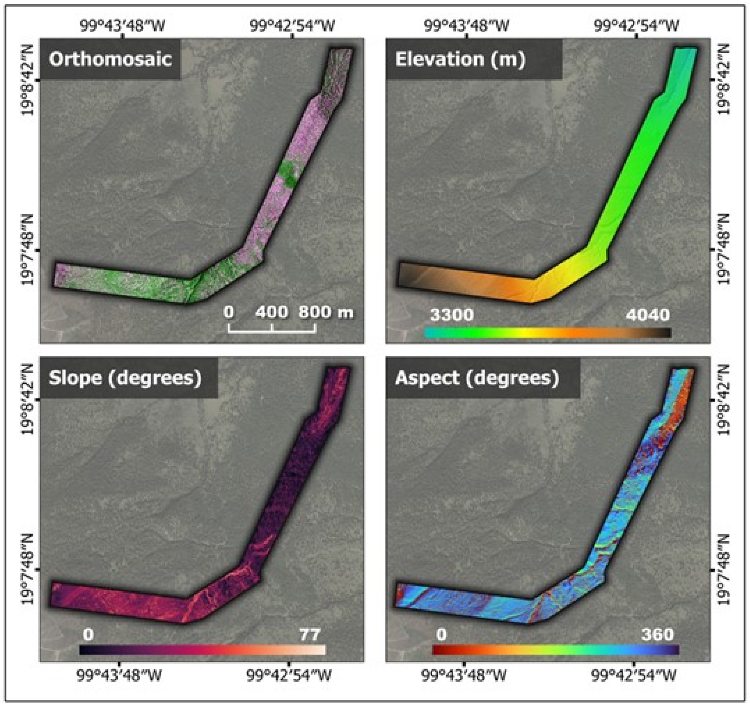 Forests 14 01176 g005