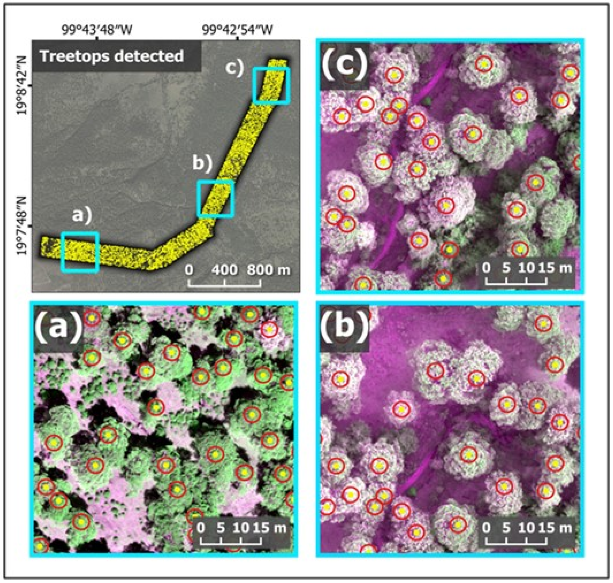 Forests 14 01176 g006