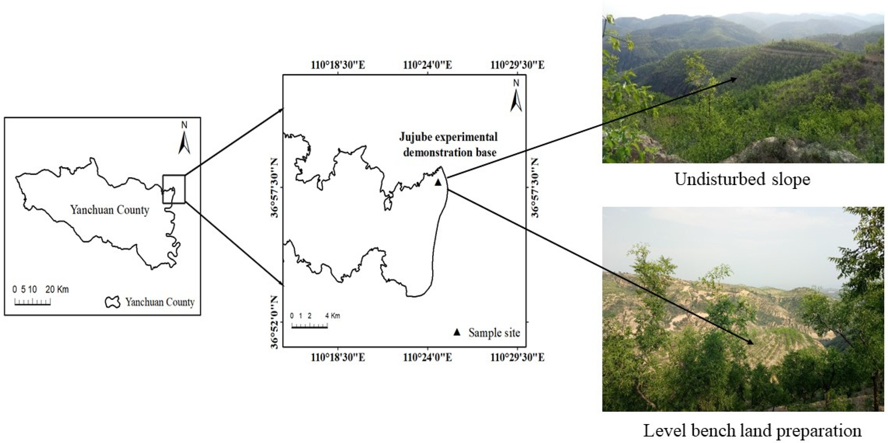 Forests 14 01179 g001
