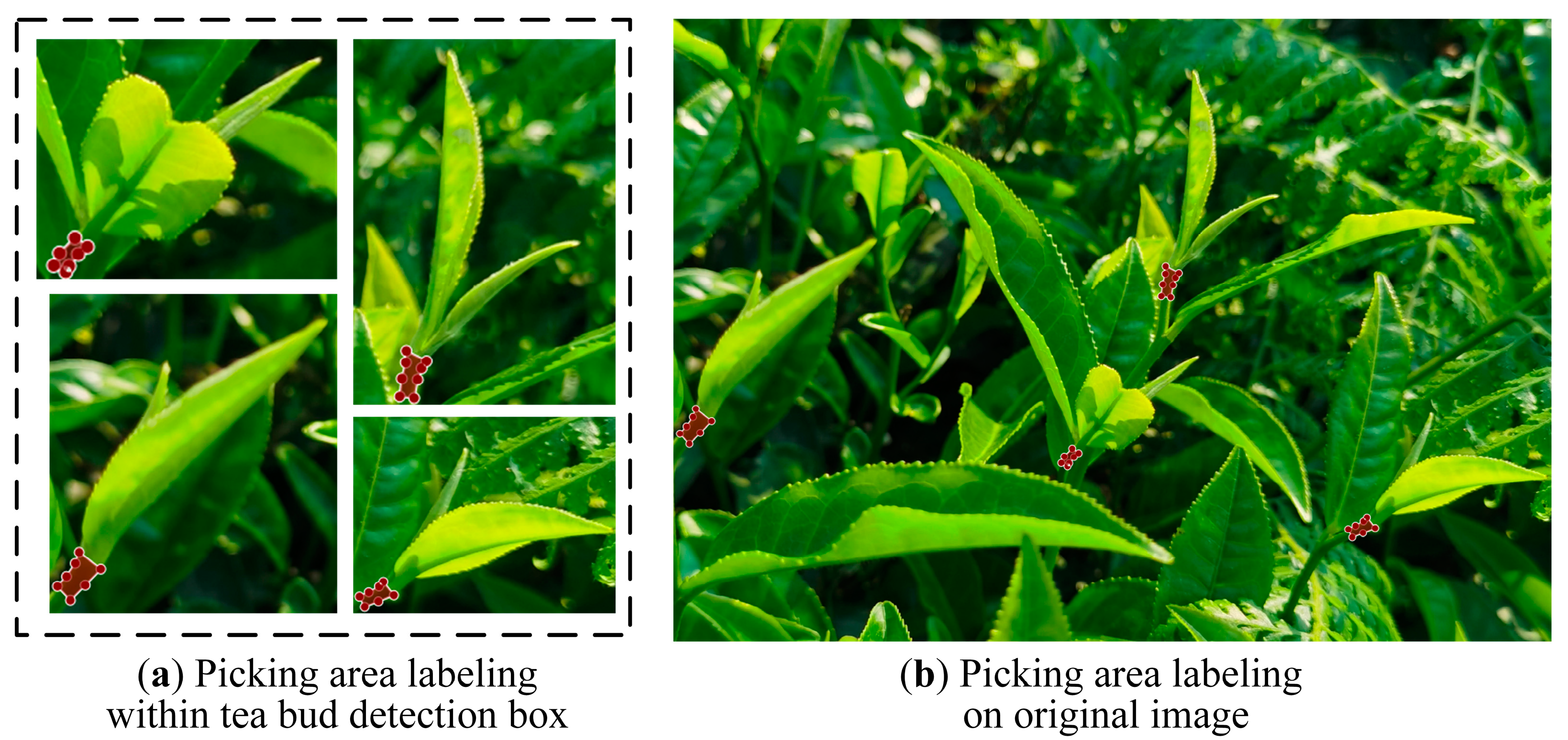 Forests 14 01188 g002