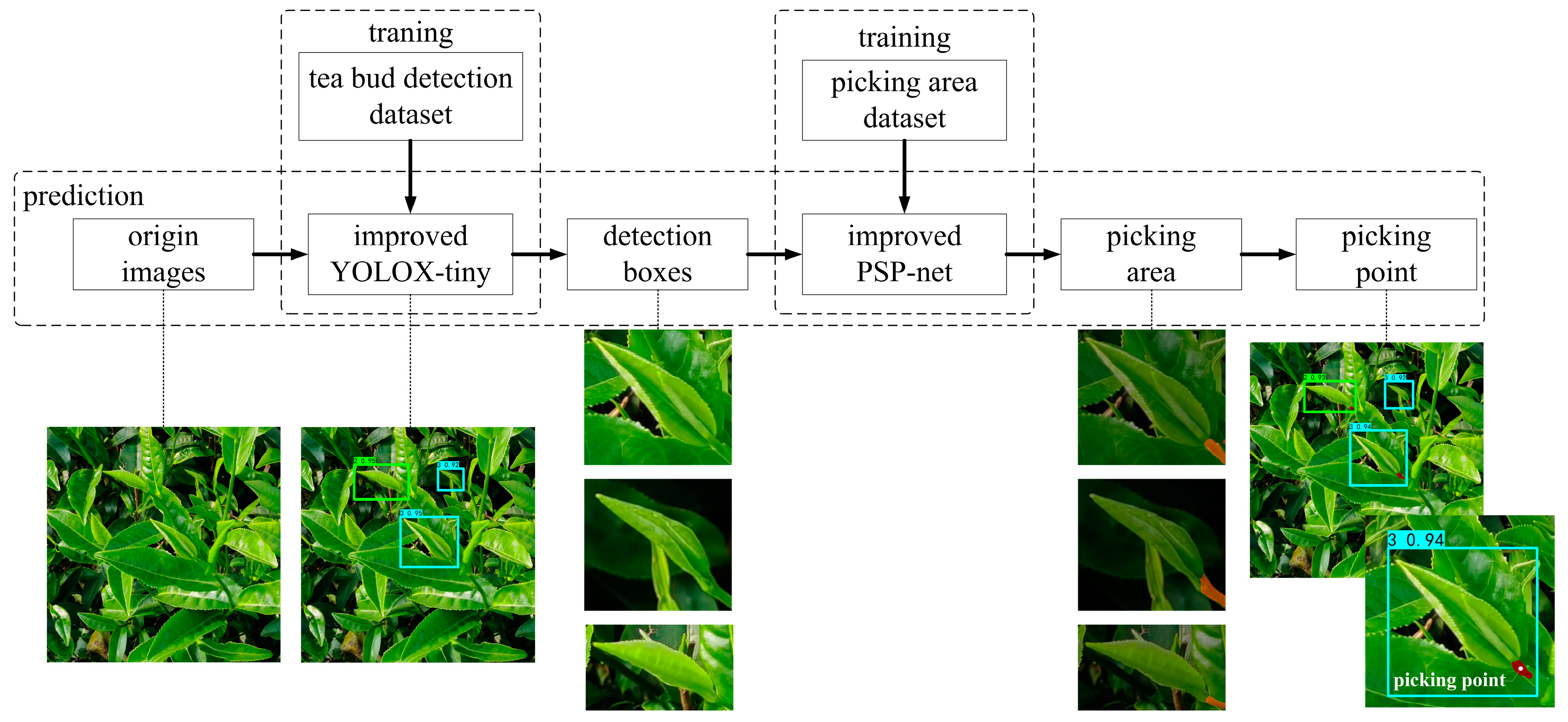 Forests 14 01188 g003