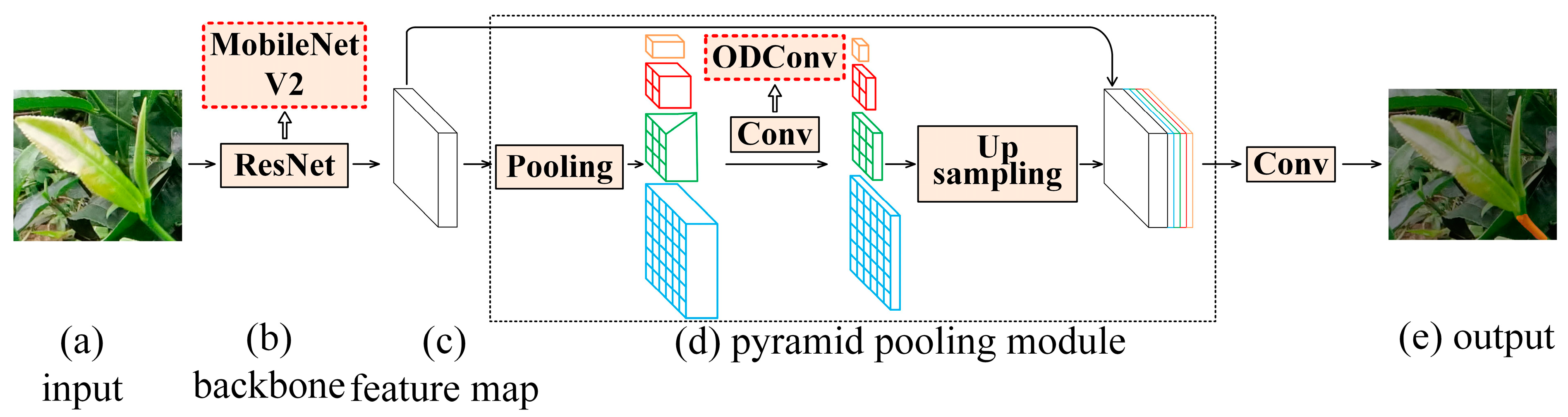Forests 14 01188 g005
