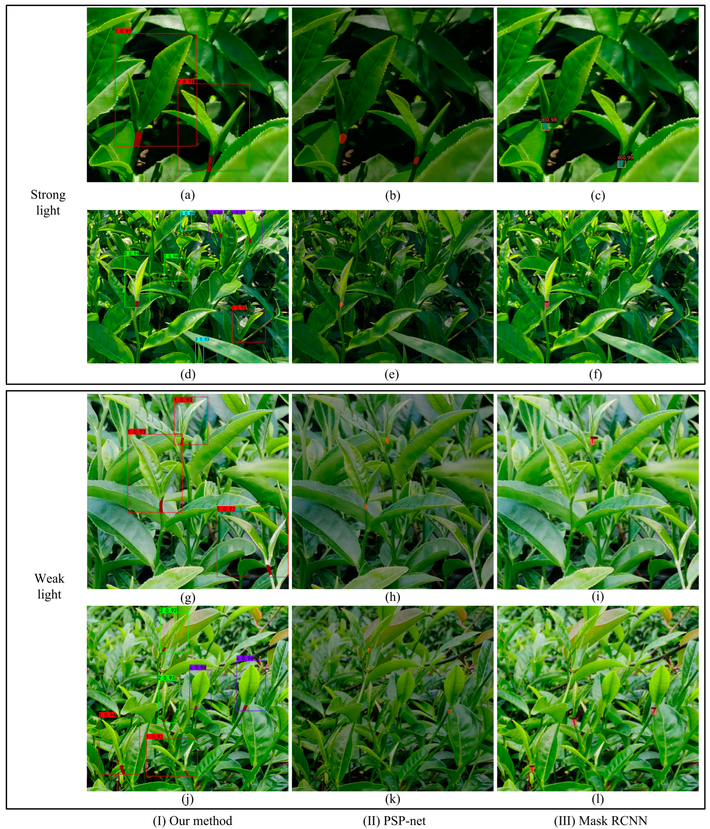 Forests 14 01188 g012