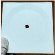 Forests 14 01189 i001 Forests 14 01189 i001