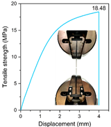 Forests 14 01189 i003 Forests 14 01189 i003