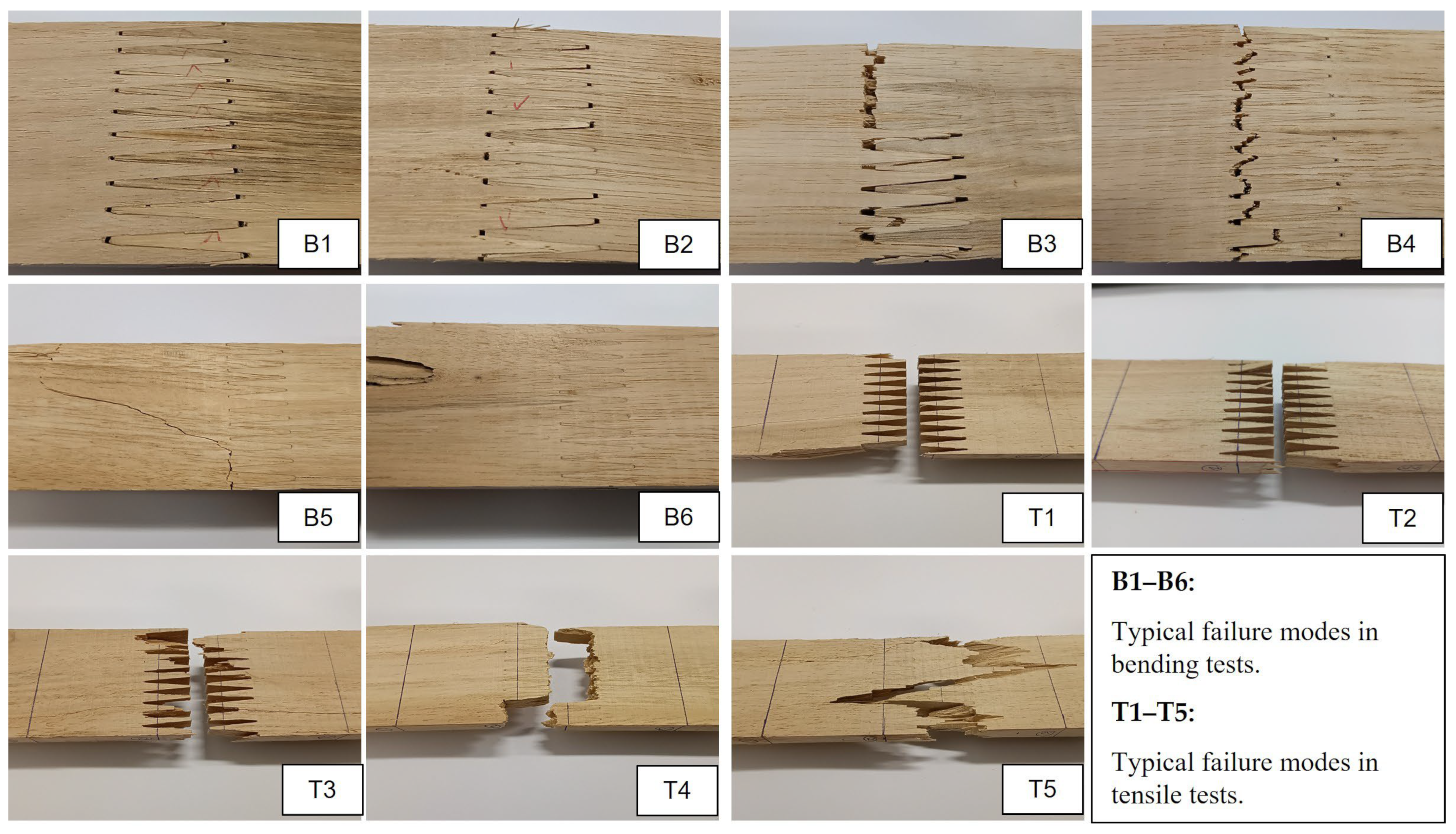 Forests 14 01192 g009