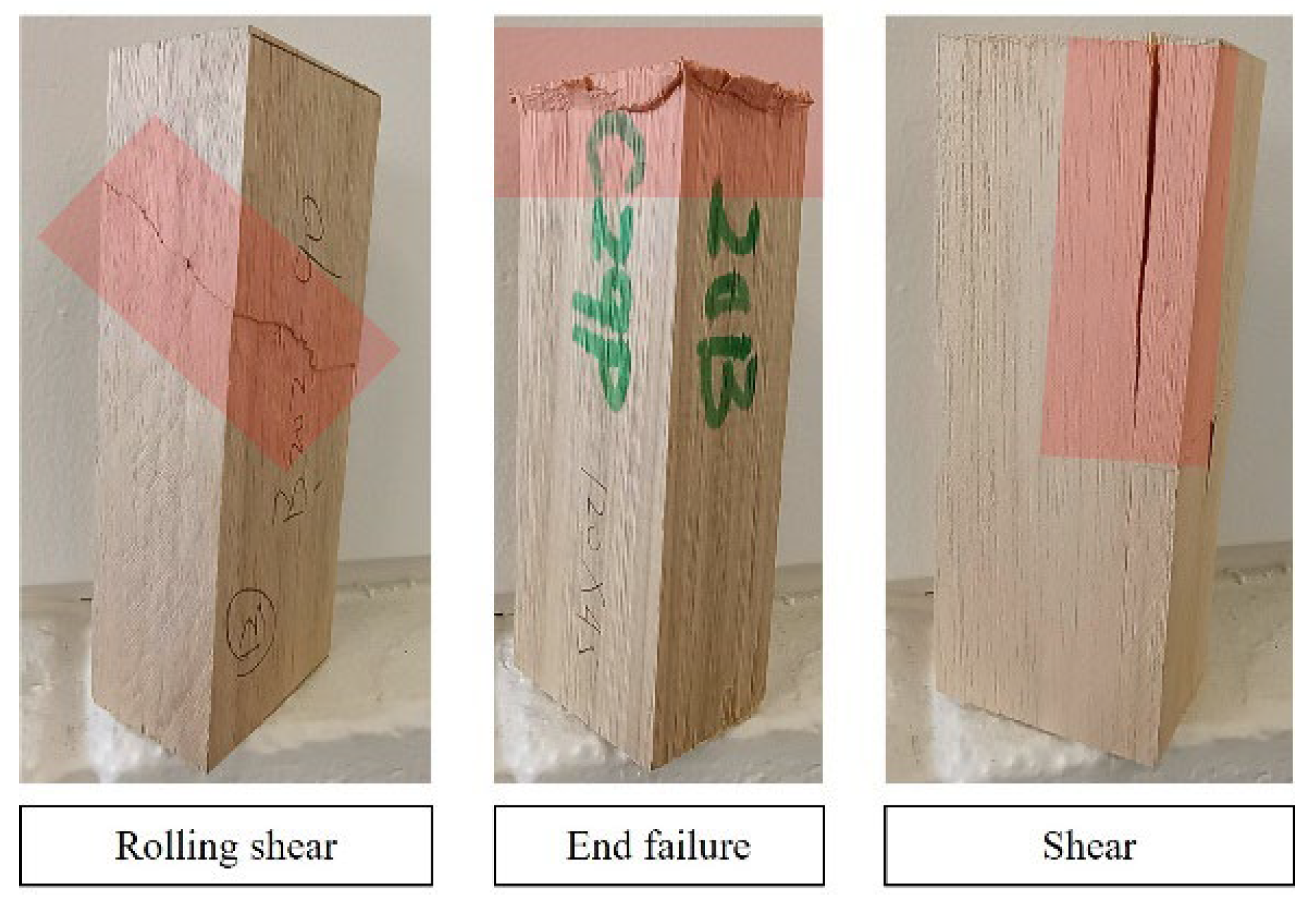 Forests 14 01192 g014