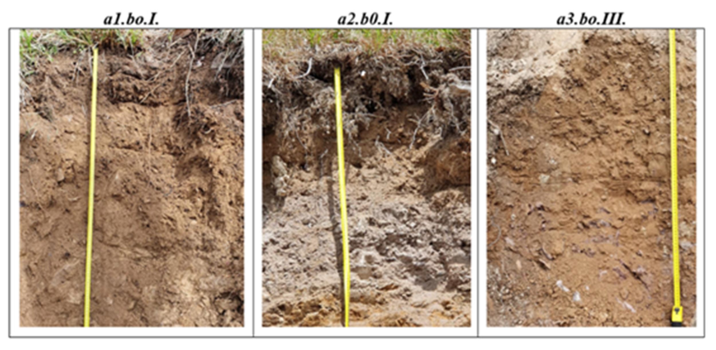 Forests 14 01200 g002