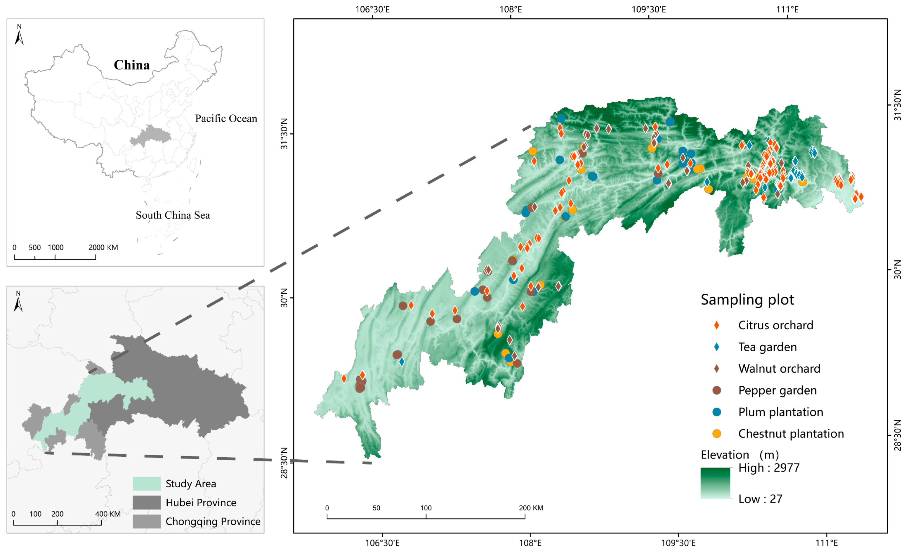 Forests 14 01204 g001 Forests 14 01204 g001