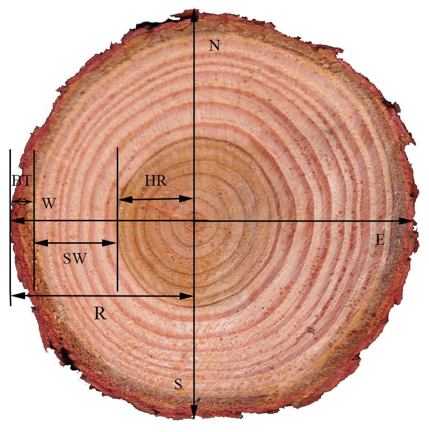 Forests 14 01216 g002