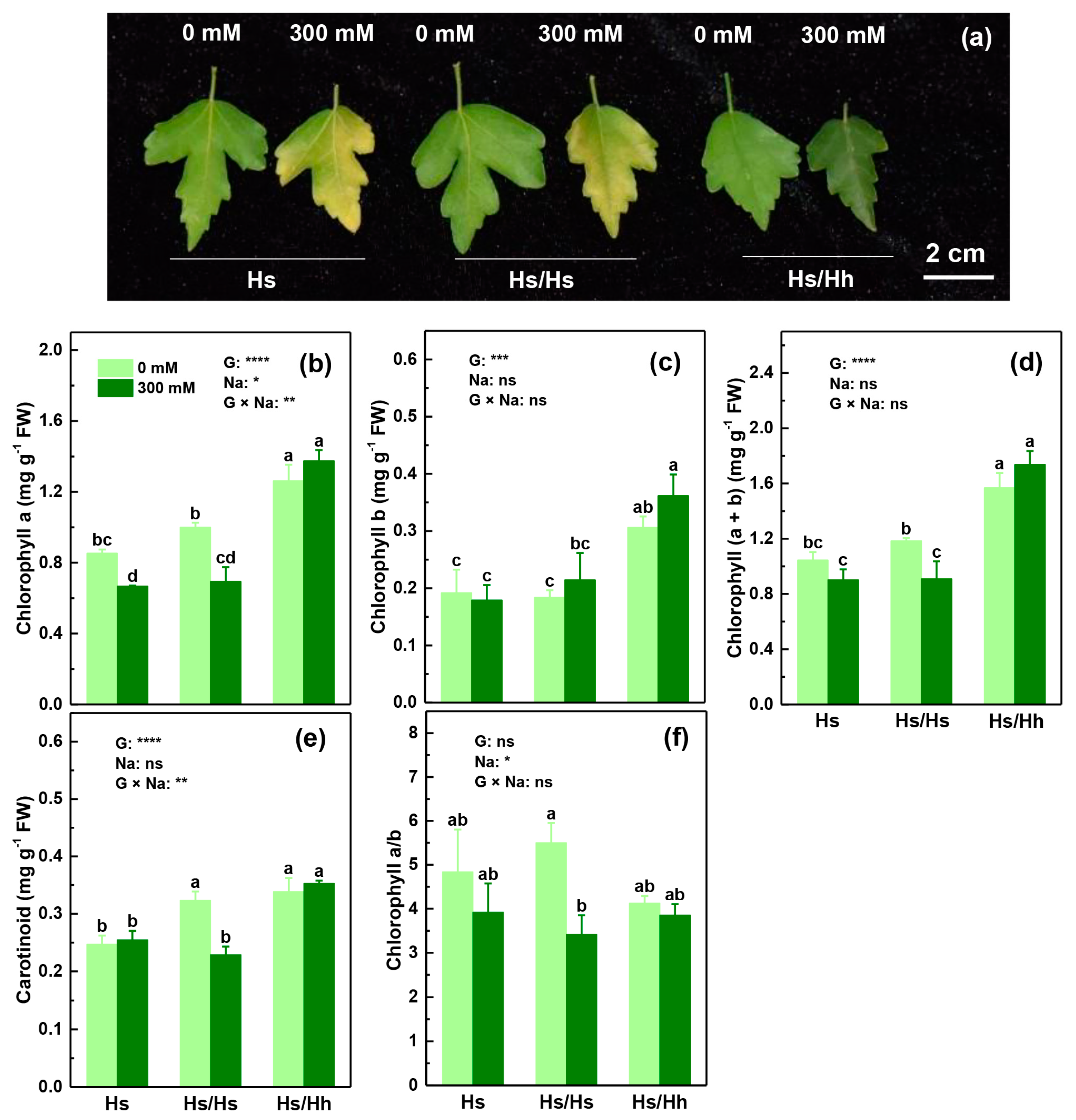 Forests 14 01226 g001