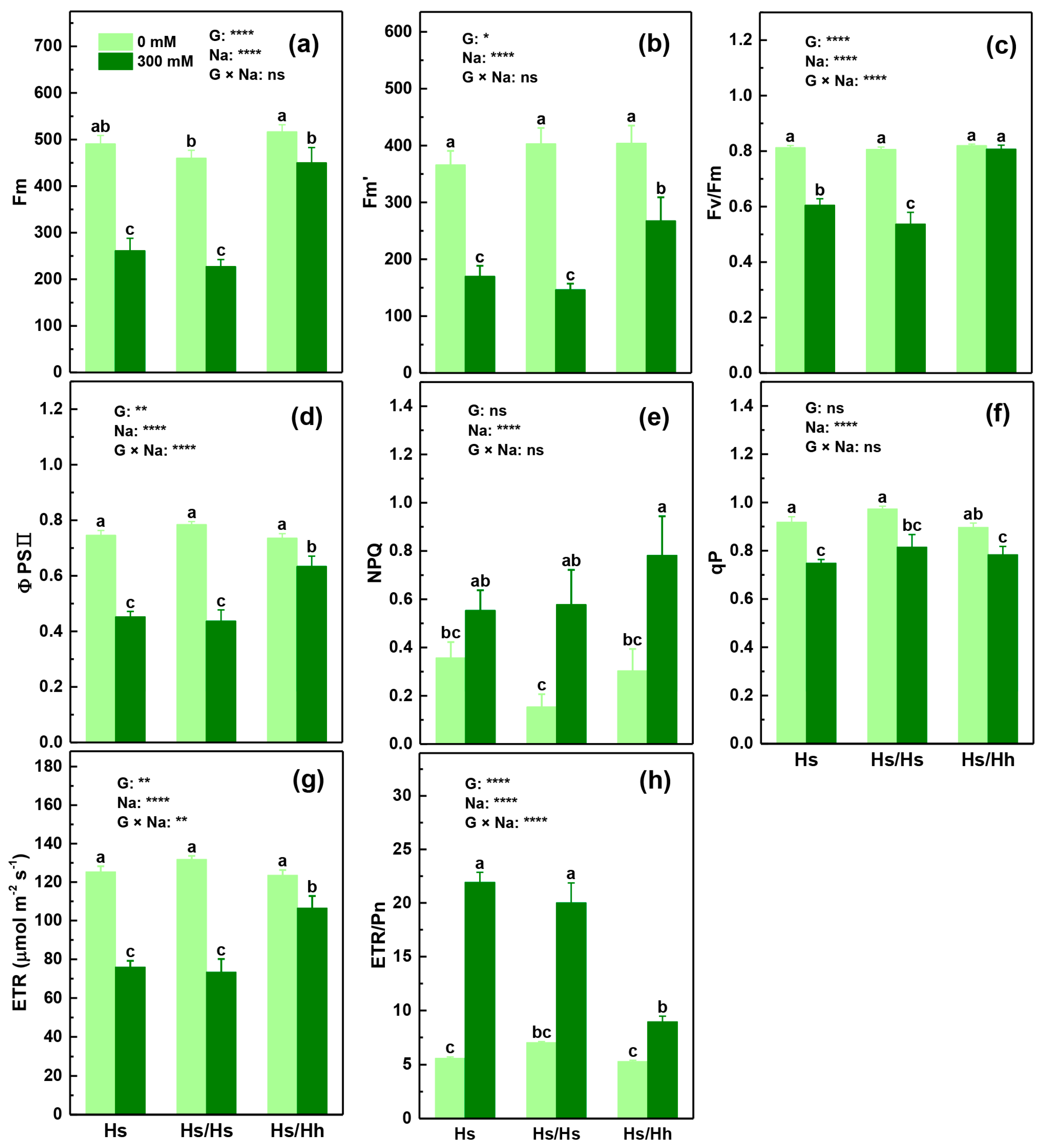 Forests 14 01226 g004