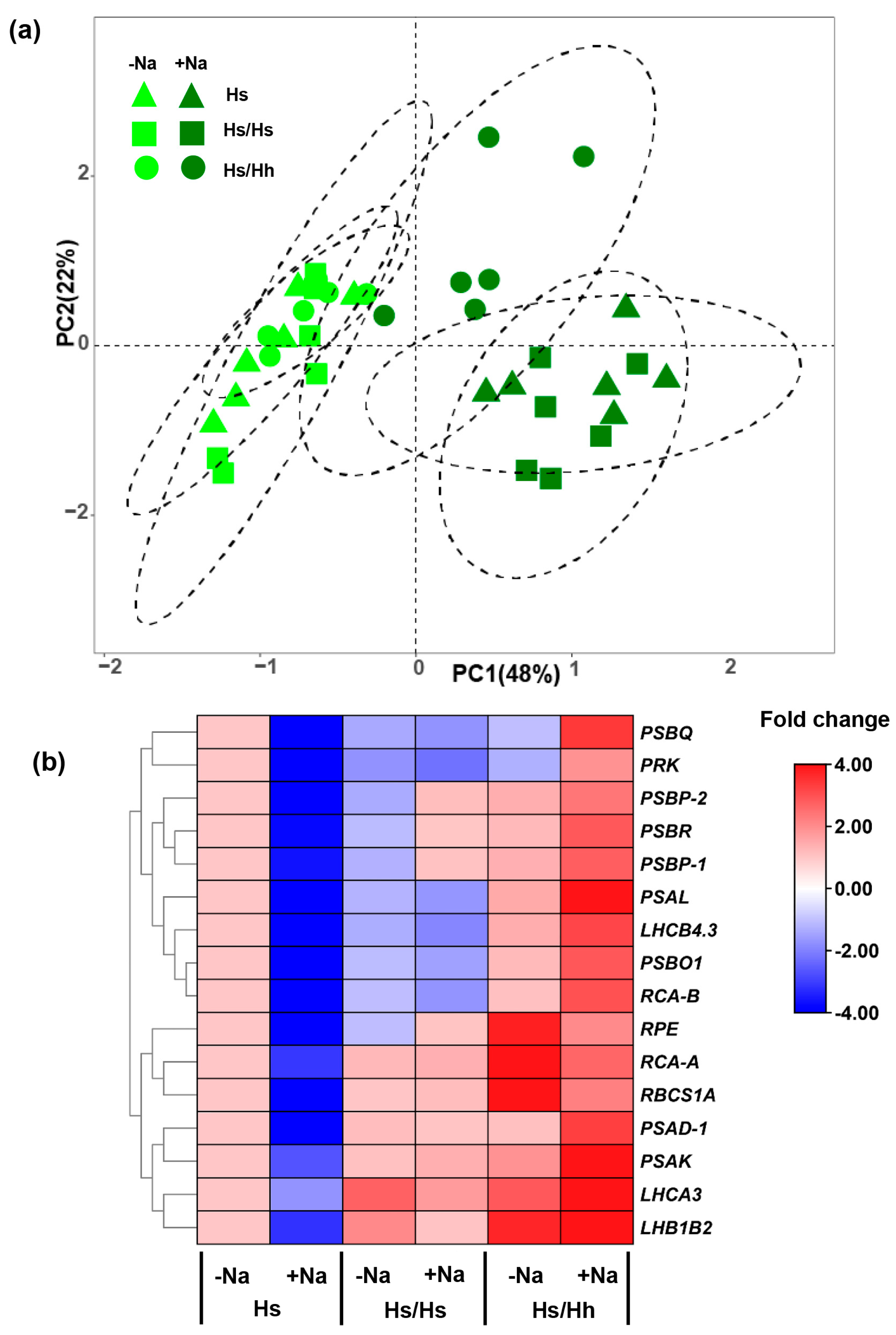 Forests 14 01226 g005