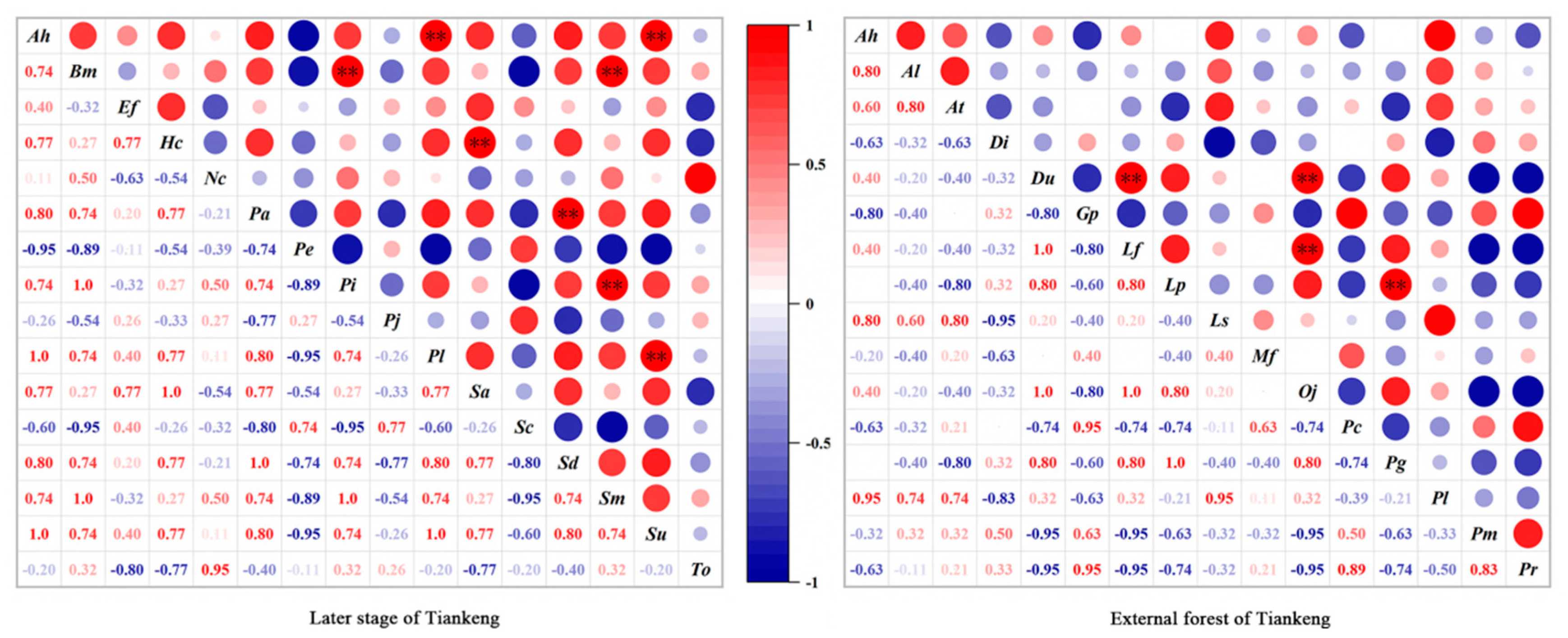 Forests 14 01244 g005
