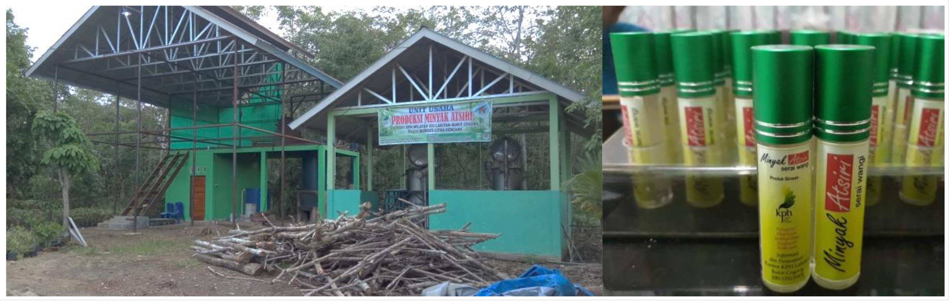 Forests 14 01251 g003