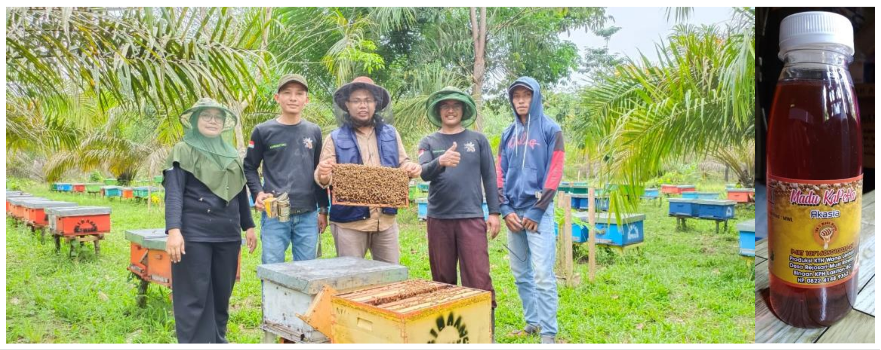 Forests 14 01251 g005