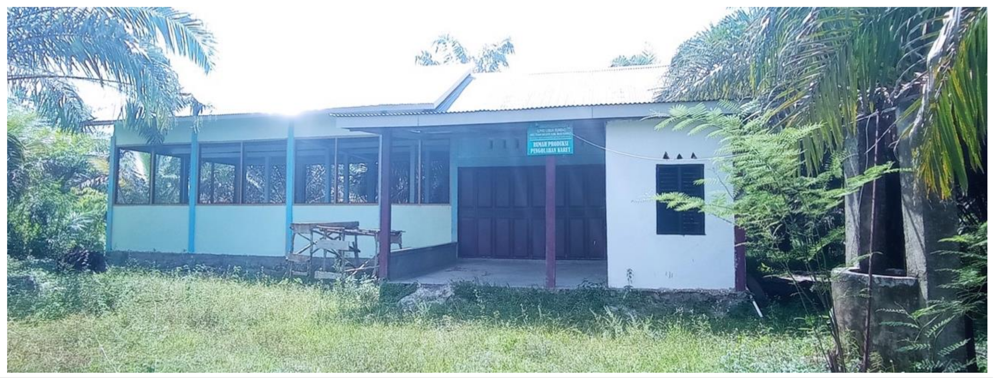 Forests 14 01251 g006