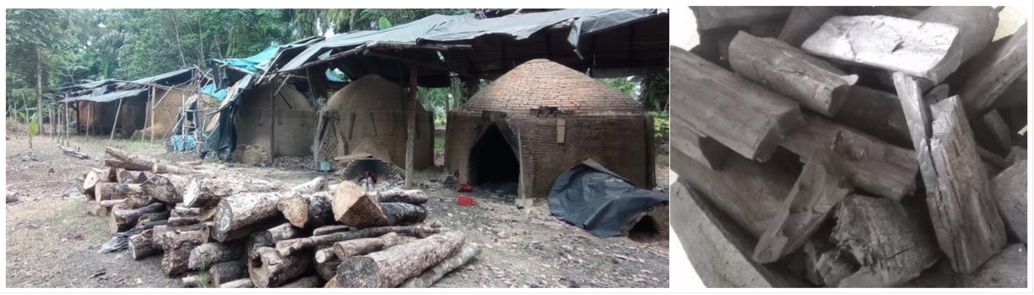 Forests 14 01251 g007