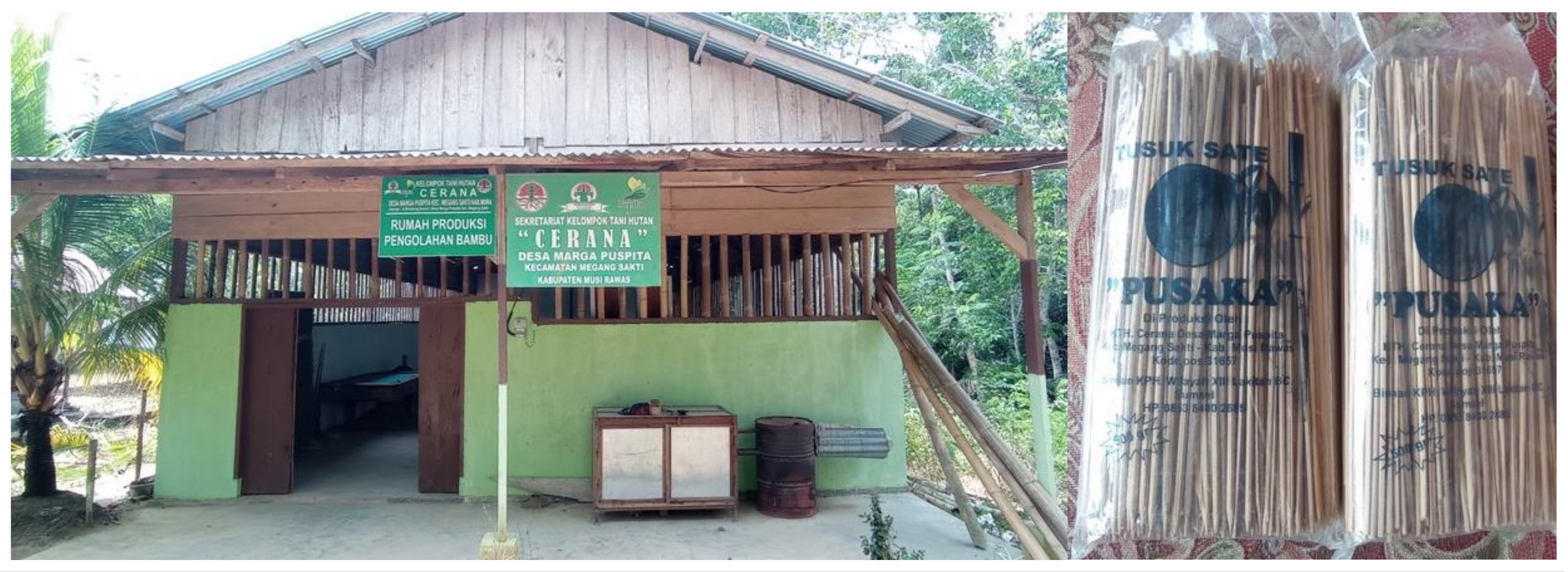 Forests 14 01251 g008