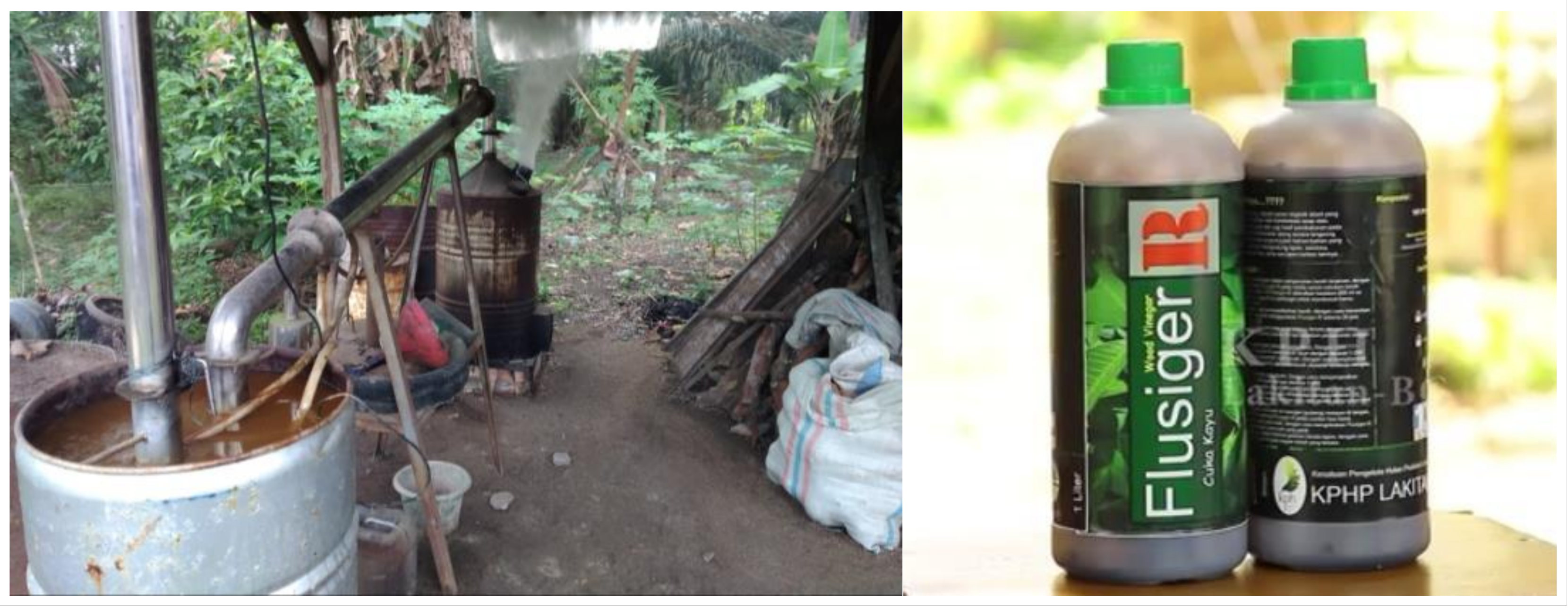 Forests 14 01251 g009