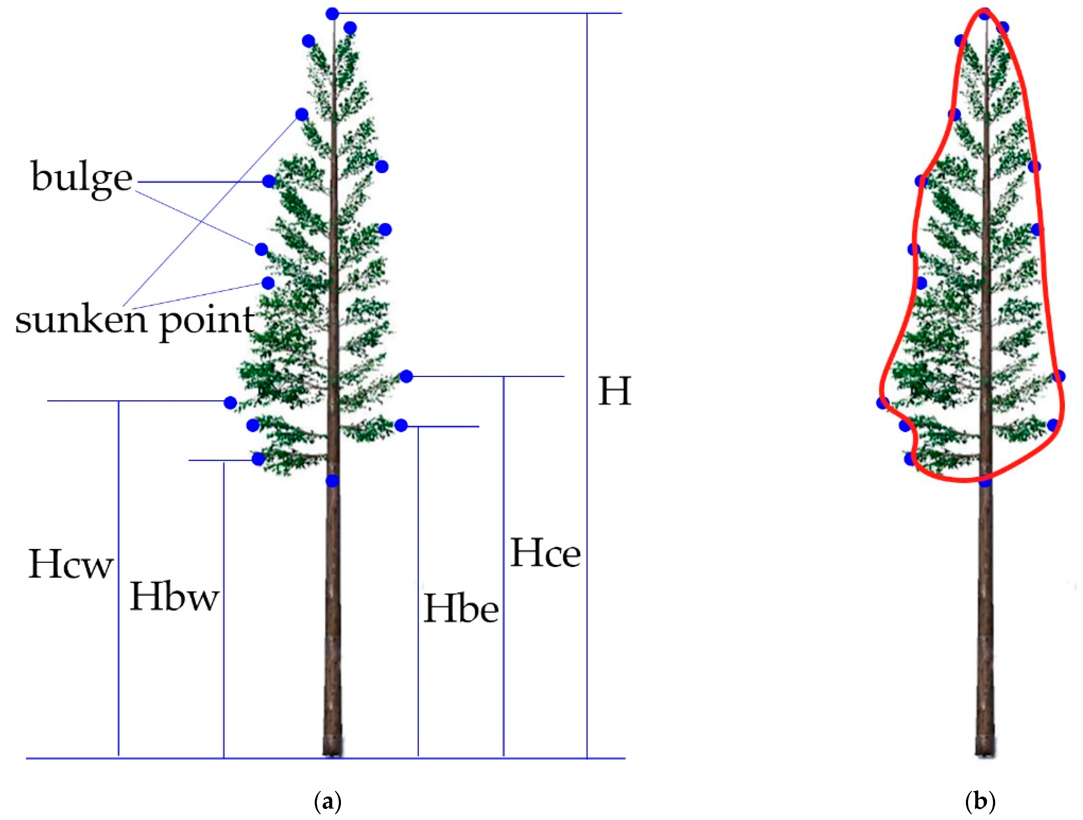 Forests 14 01267 g002
