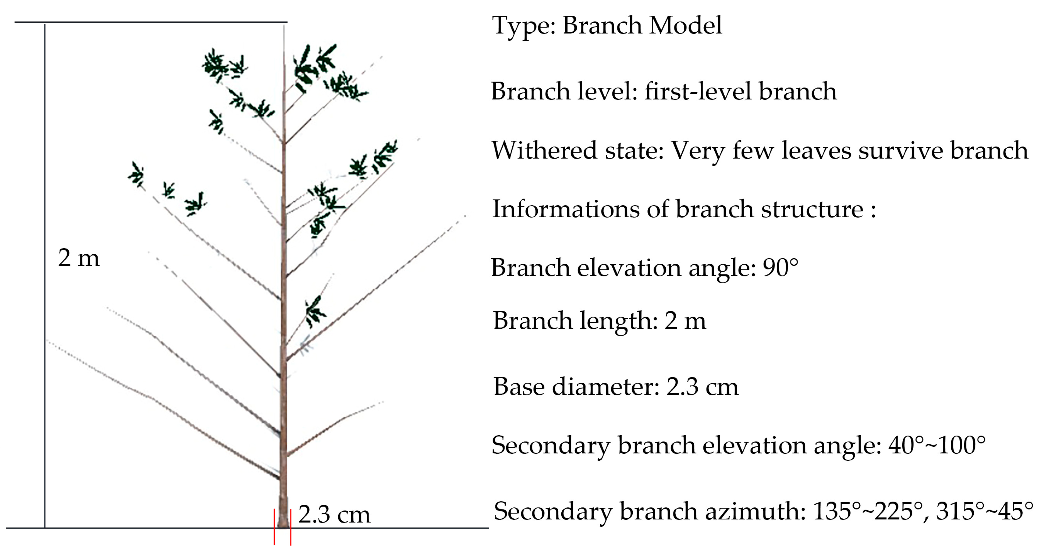 Forests 14 01267 g009