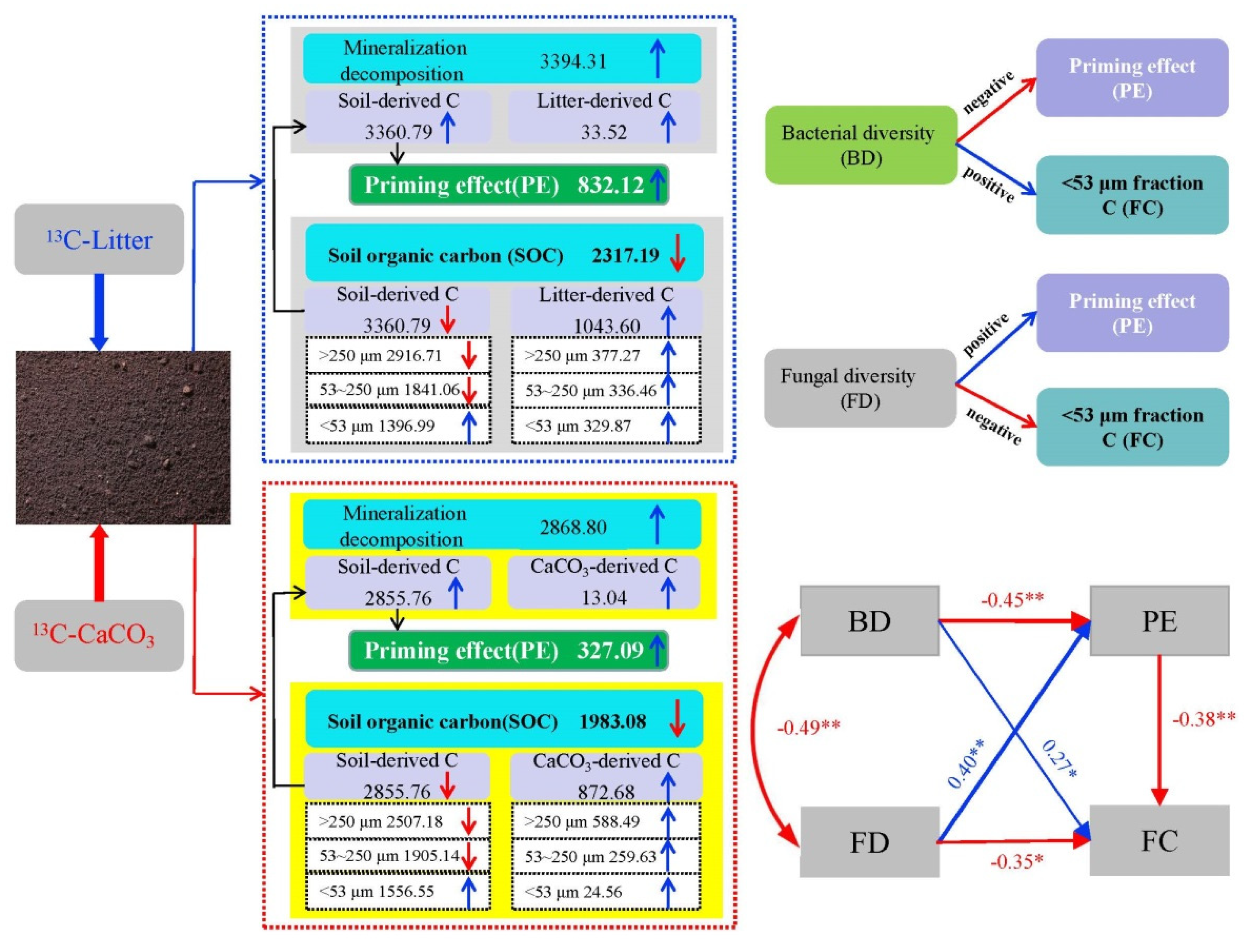 Forests 14 01268 g007