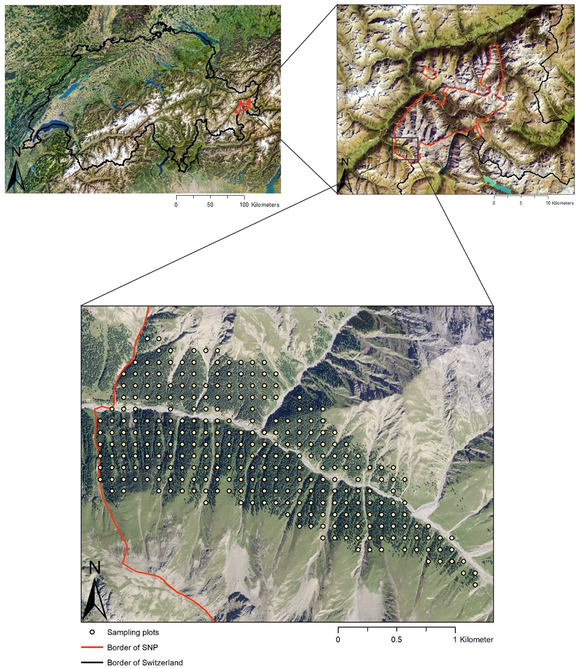 Forests 14 01272 g001