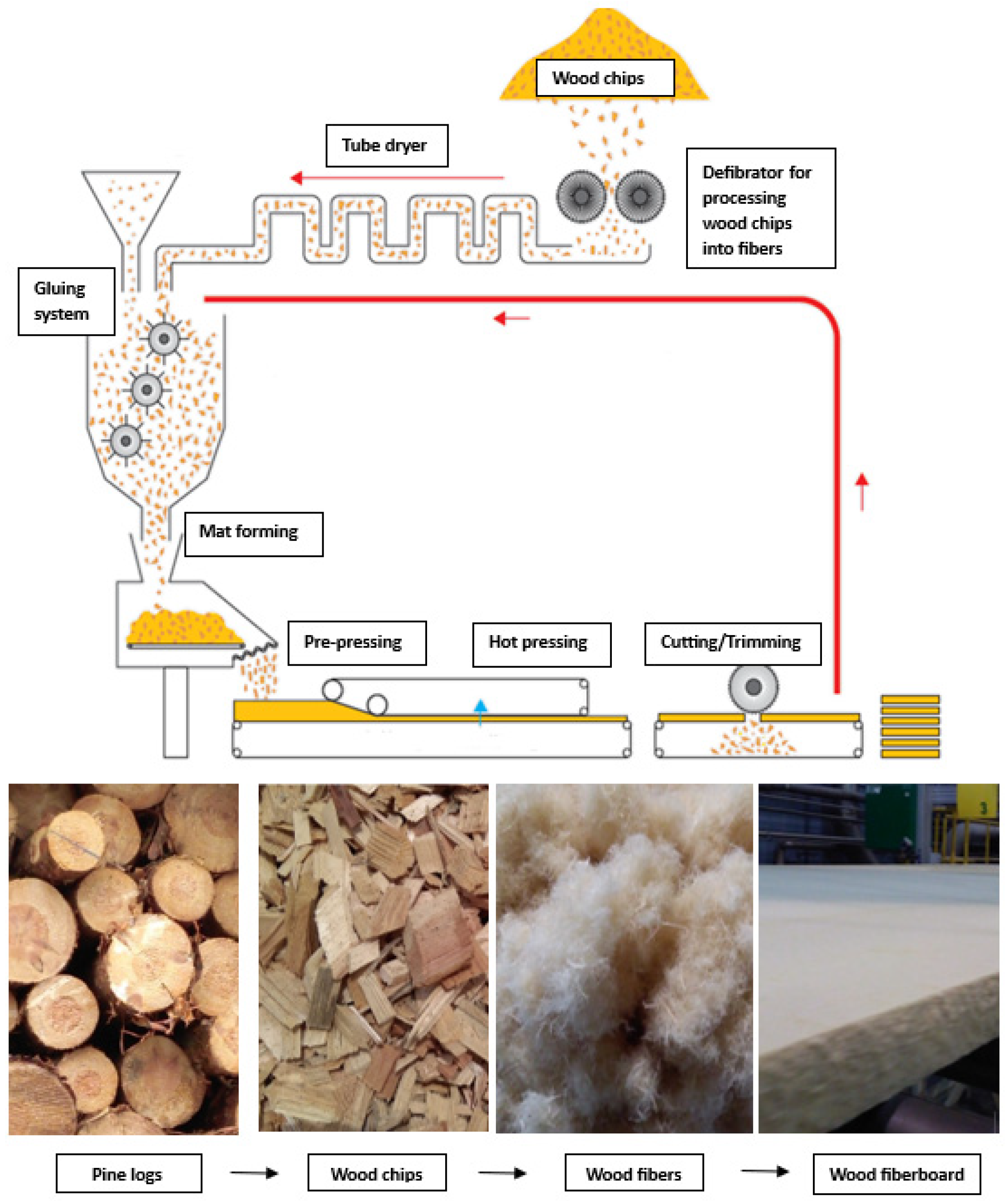 Forests 14 01300 g001