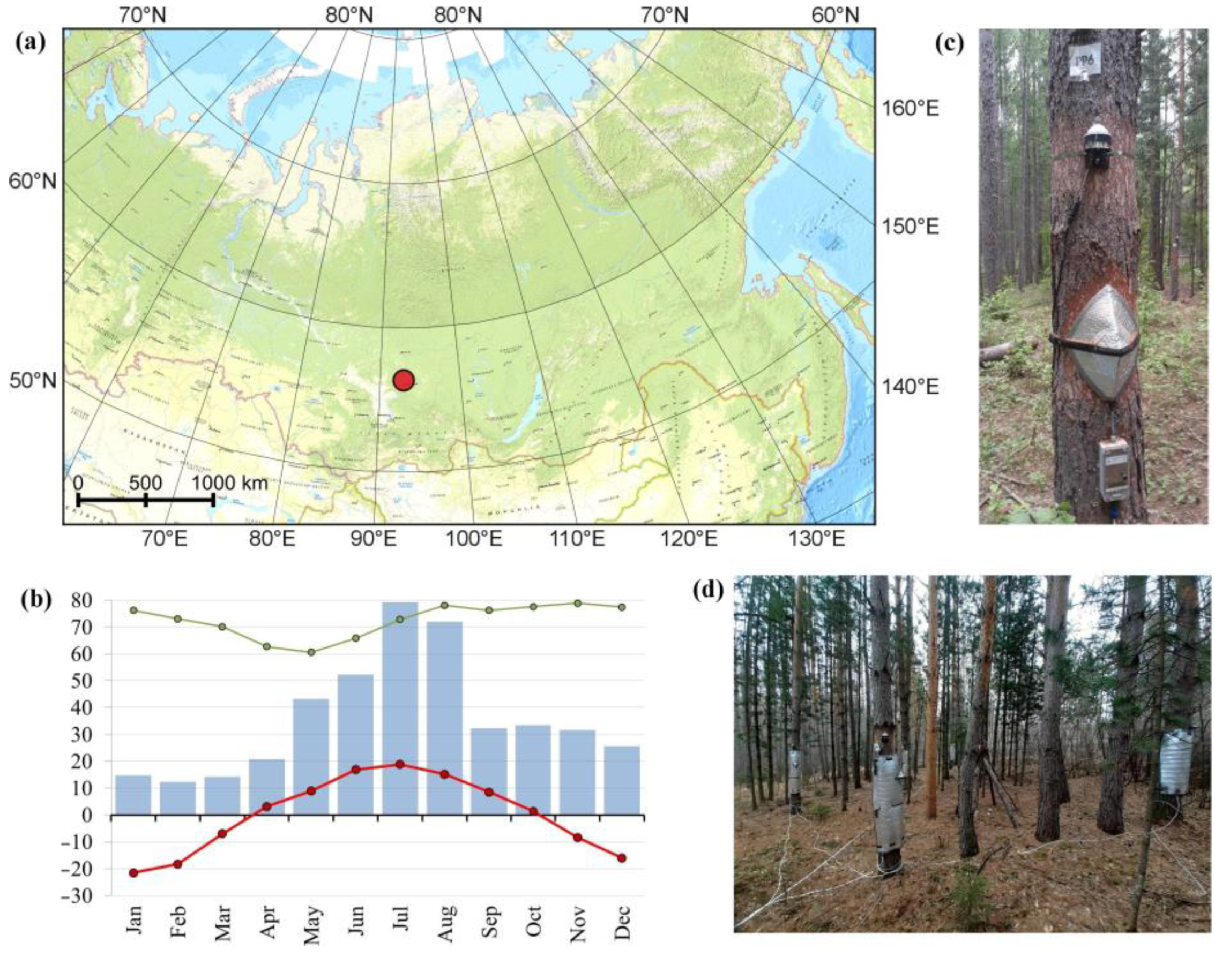 Forests 14 01301 g001