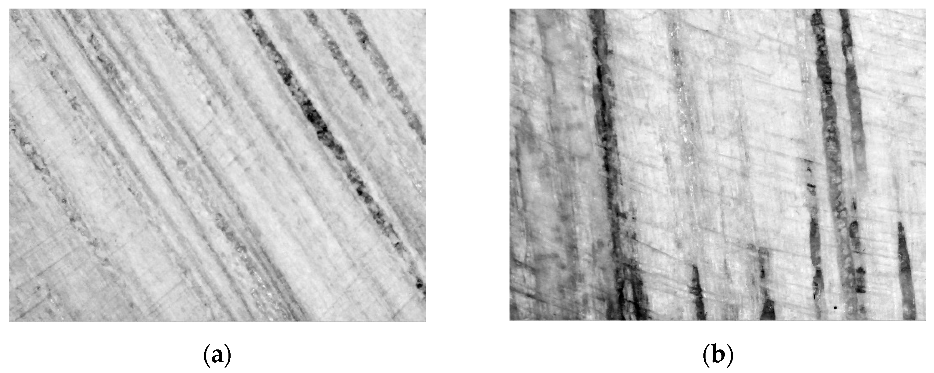 Forests 14 01309 g006