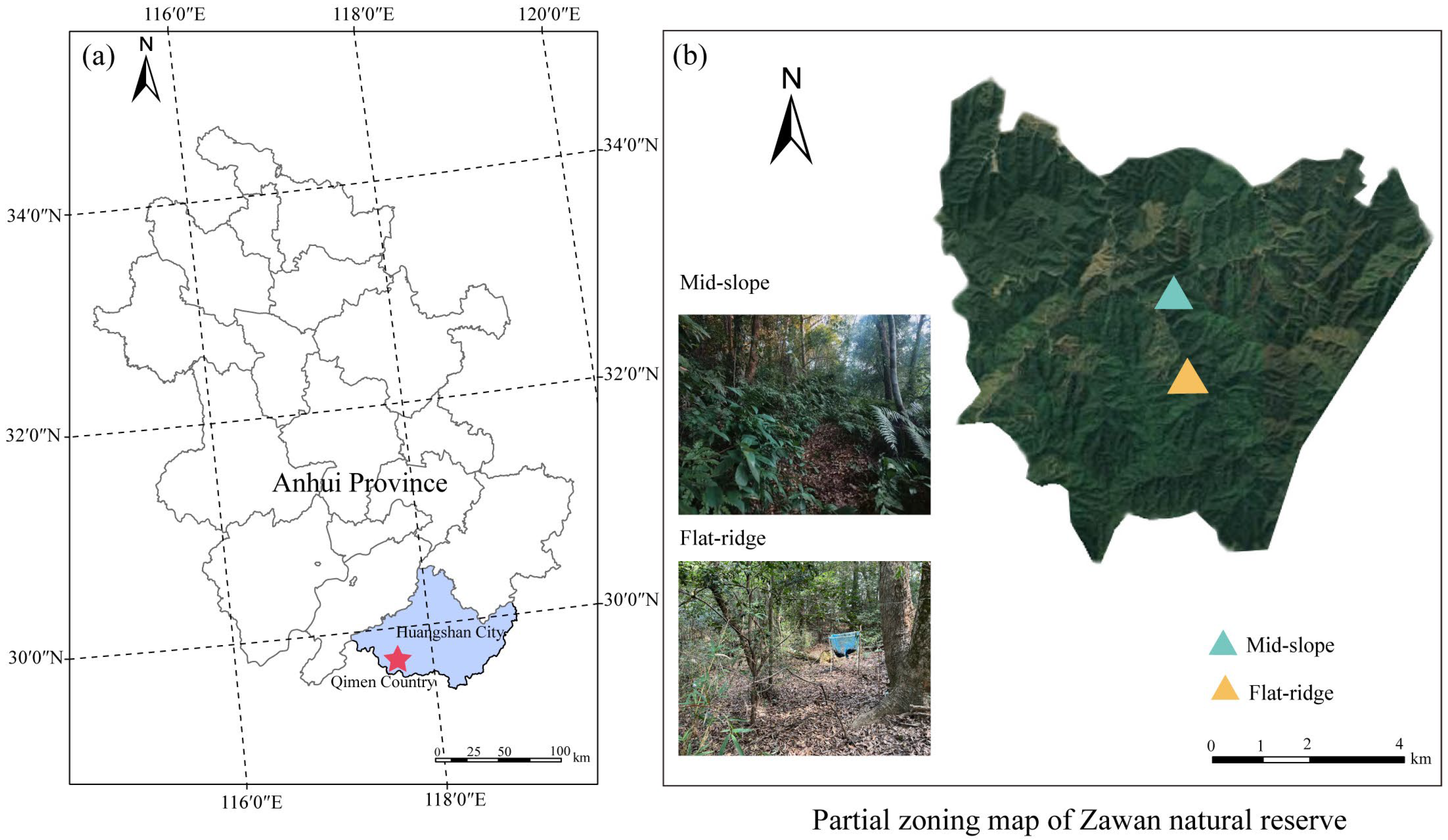 Forests 14 01314 g001