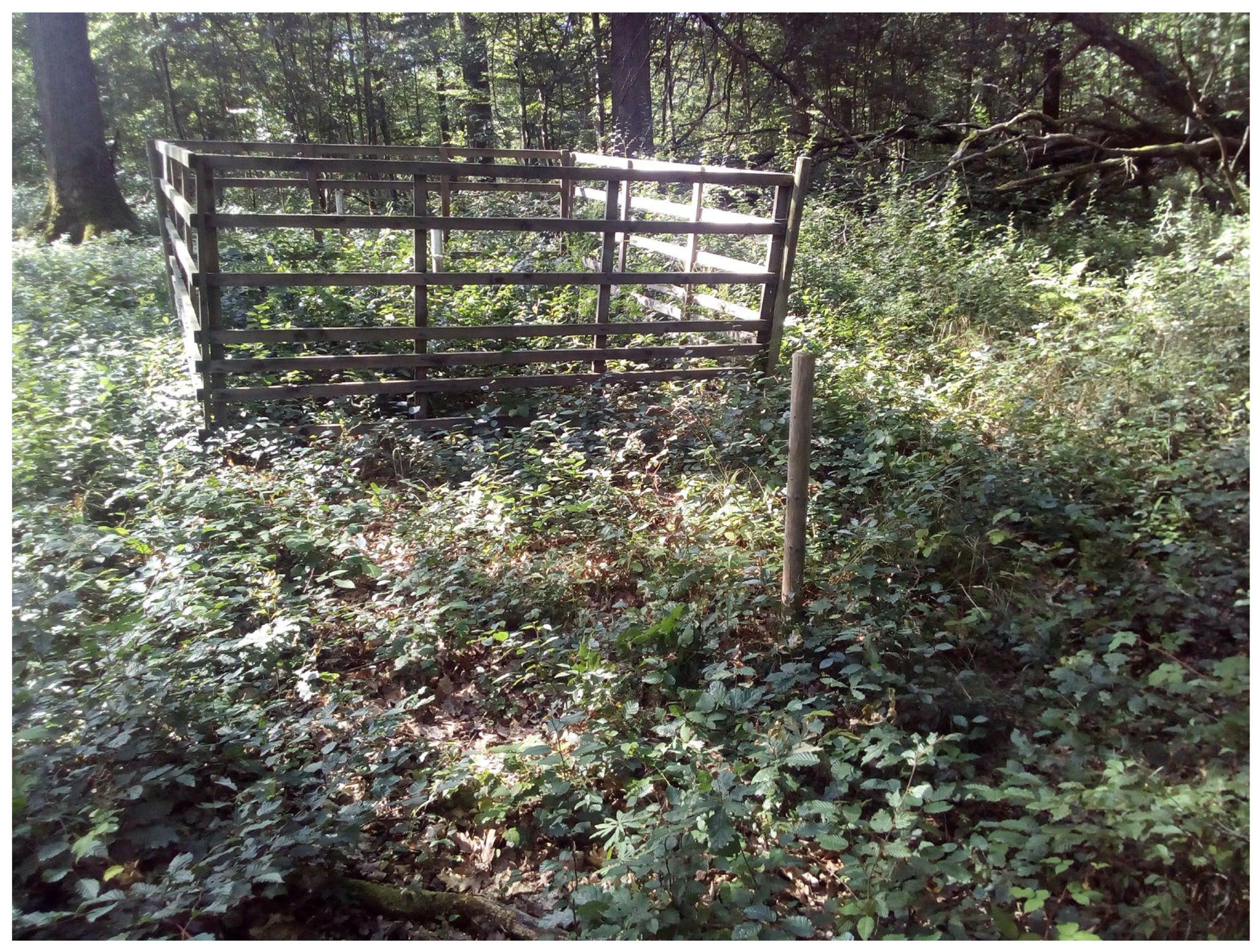 Forests 14 01330 g0a1 Forests 14 01330 g0a1