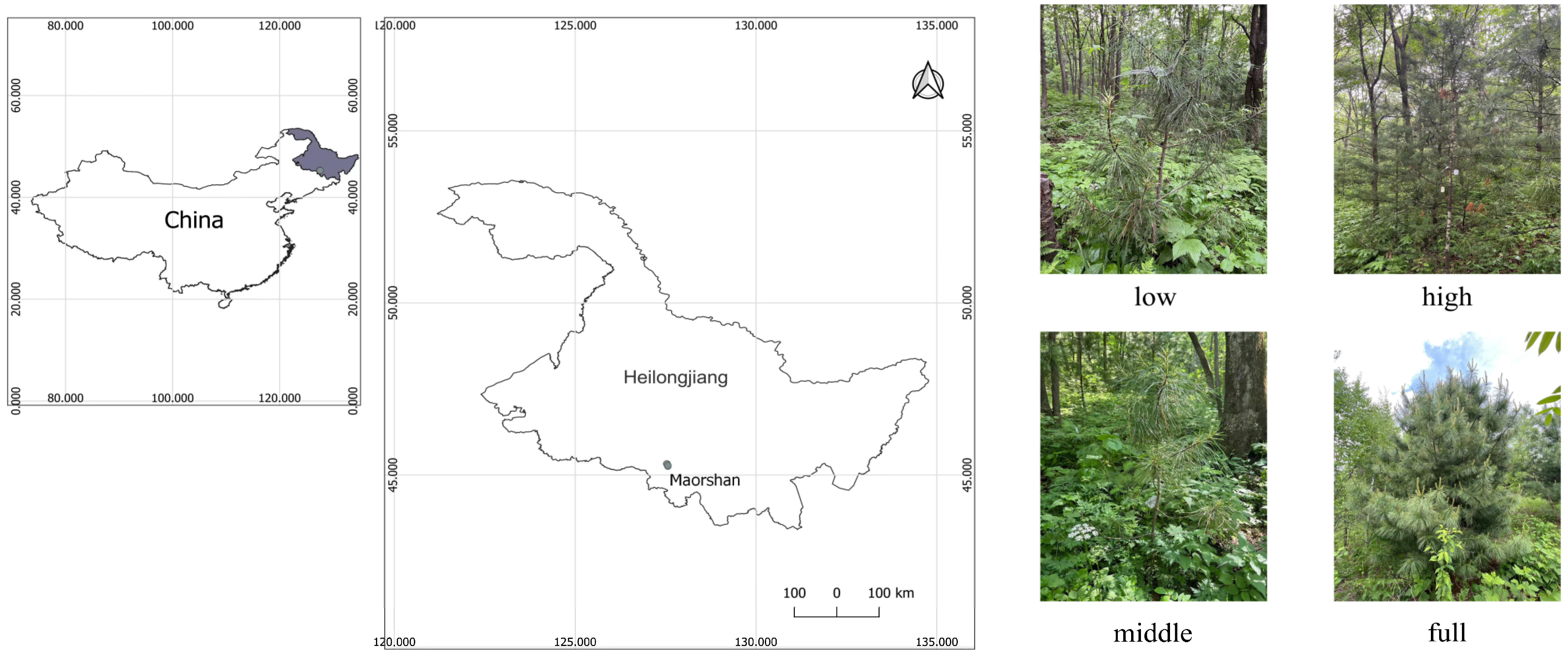 Forests 14 01333 g001 Forests 14 01333 g001