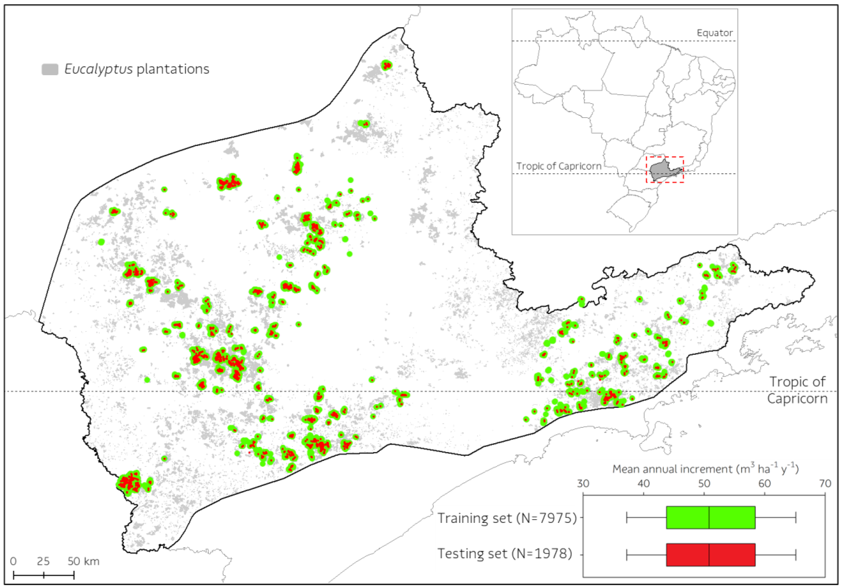 Forests 14 01334 g001