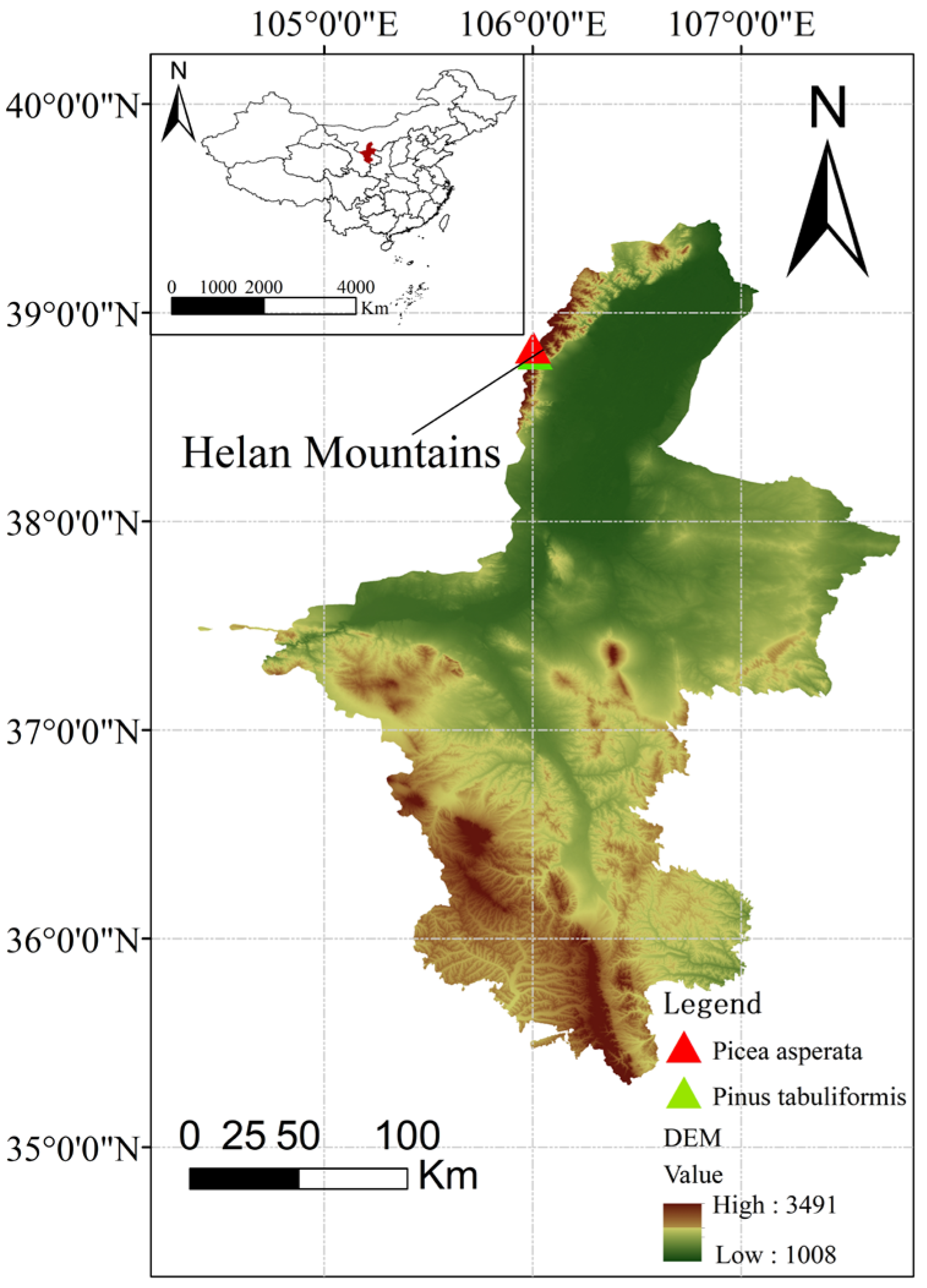 Forests 14 01336 g001