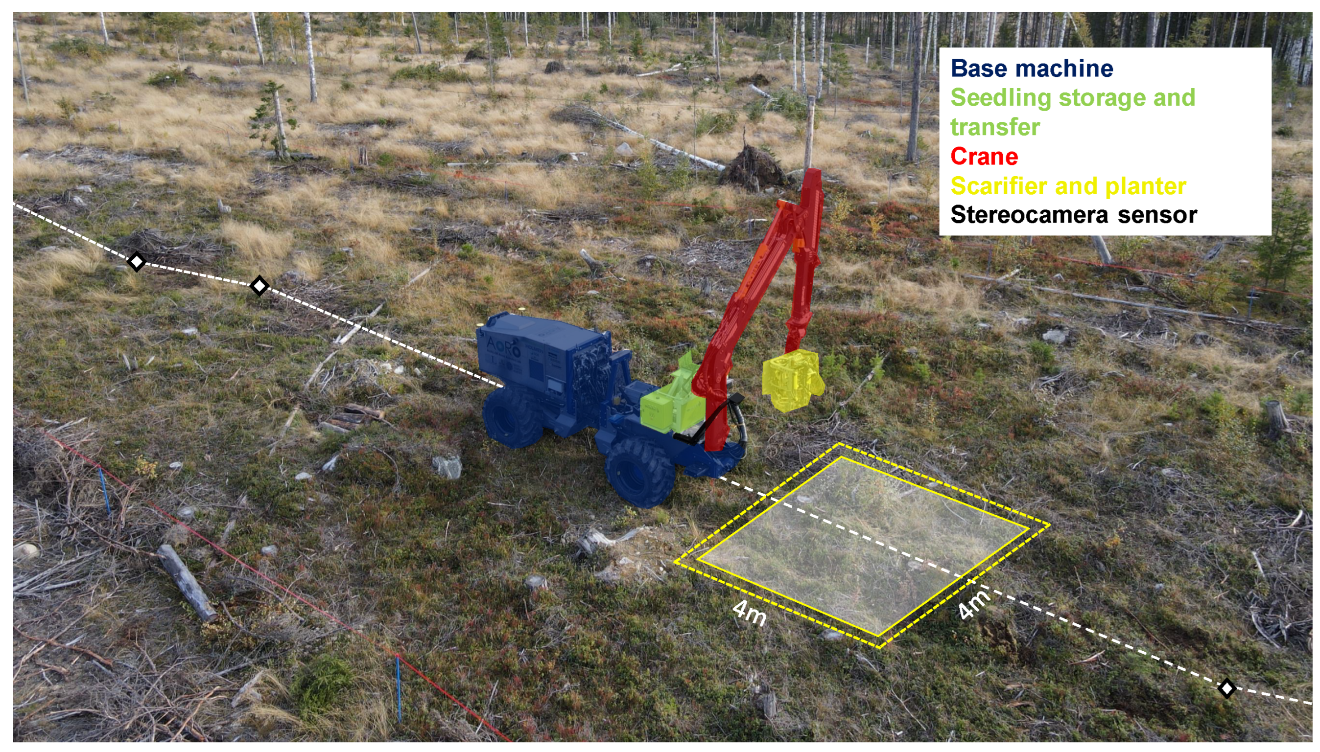 Forests 14 01340 g001