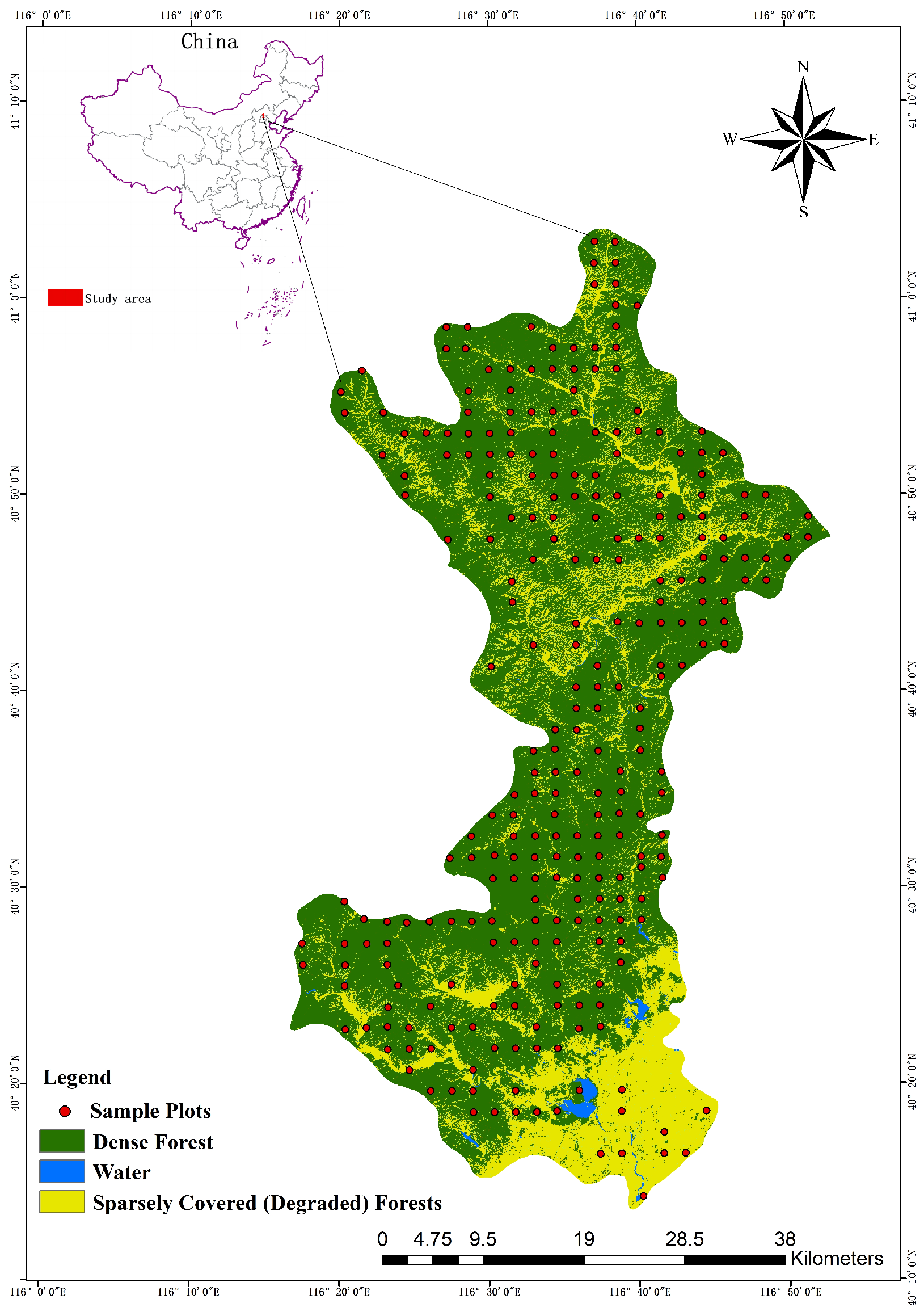 Forests 14 01345 g001