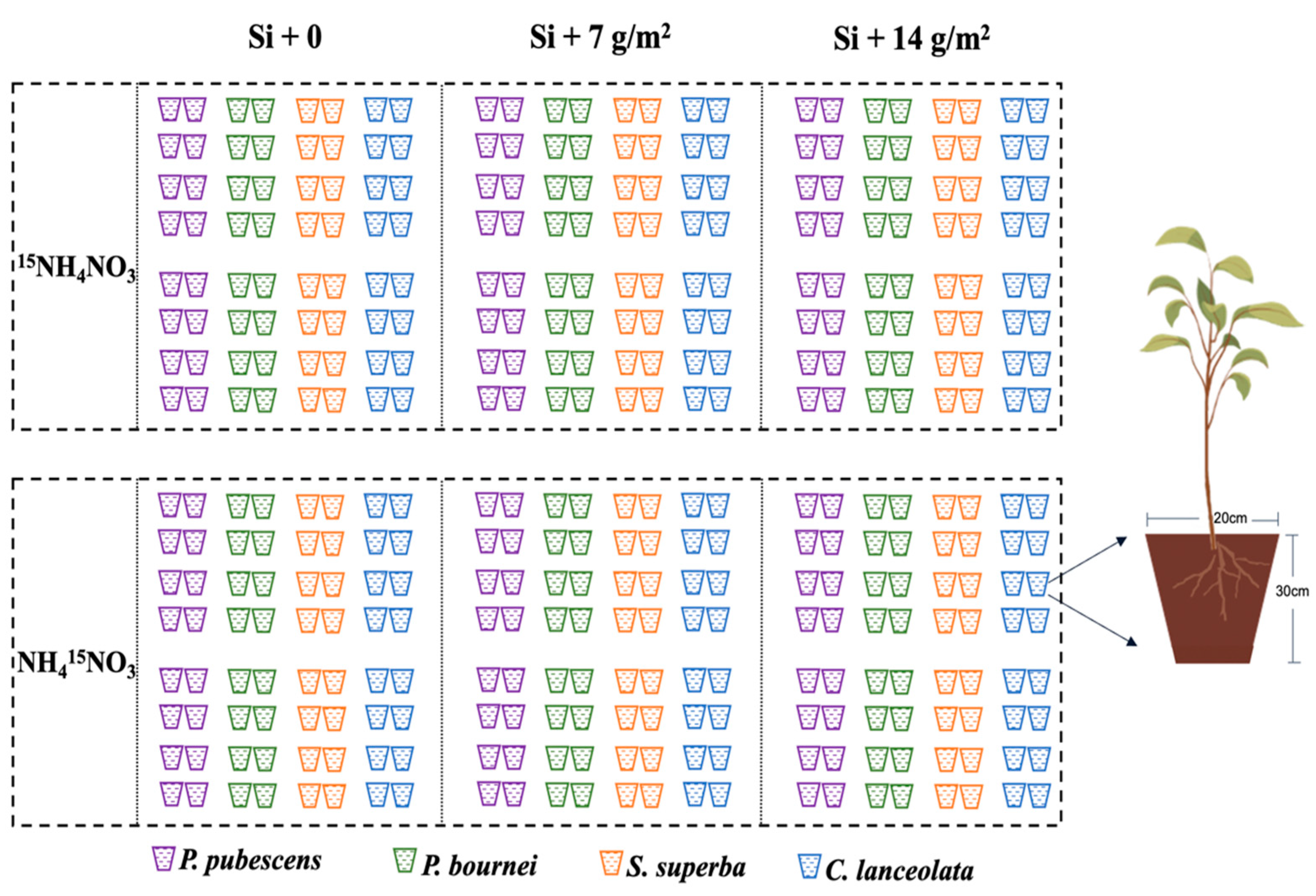Forests 14 01353 g001 Forests 14 01353 g001