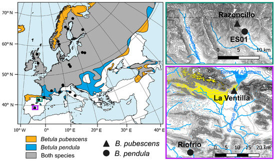 Forests 14 01360 g001