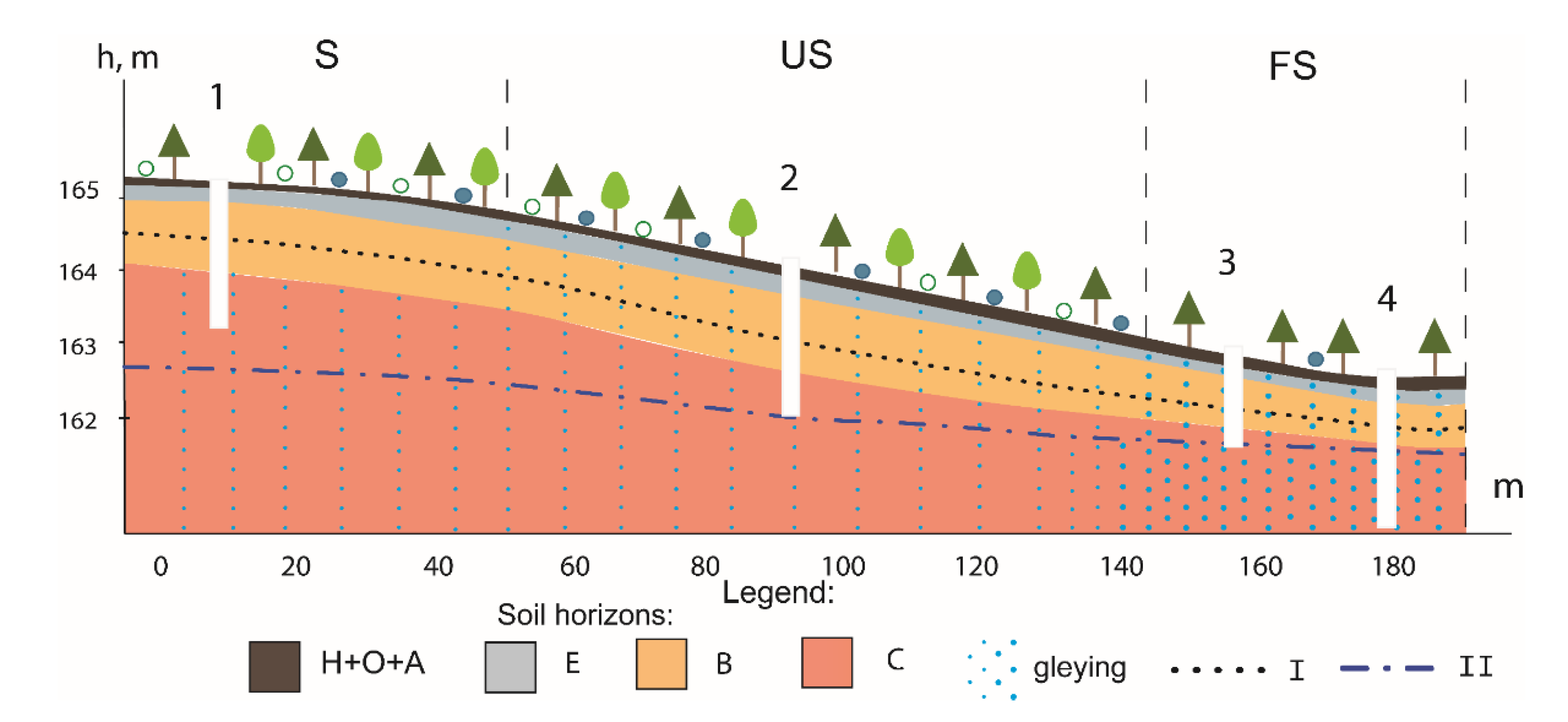 Forests 14 01367 g003