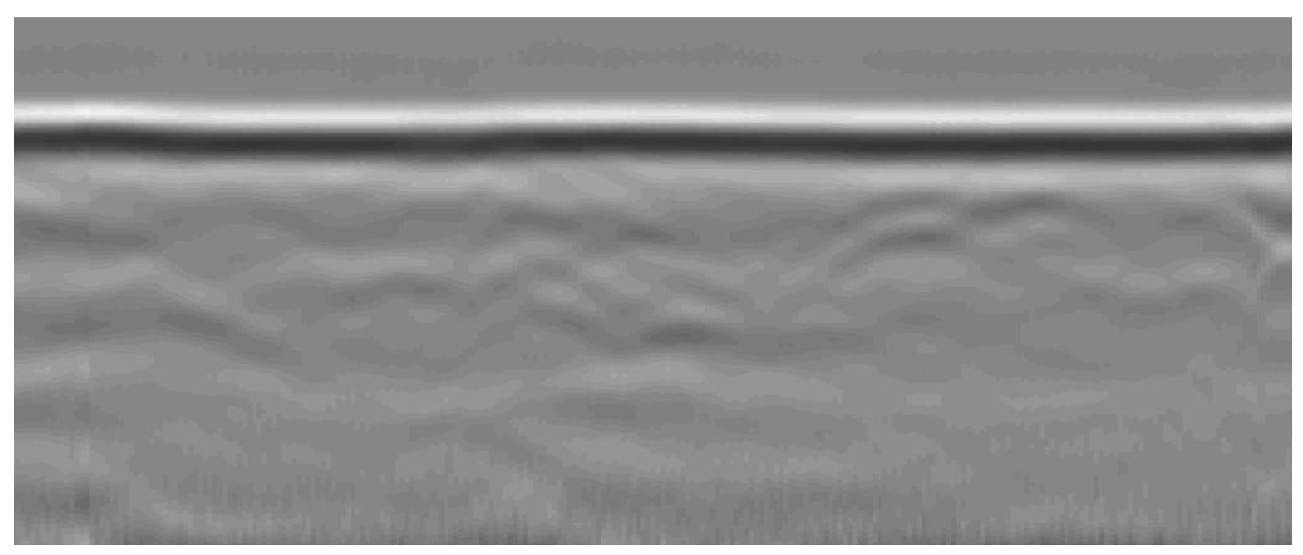 Forests 14 01370 g001