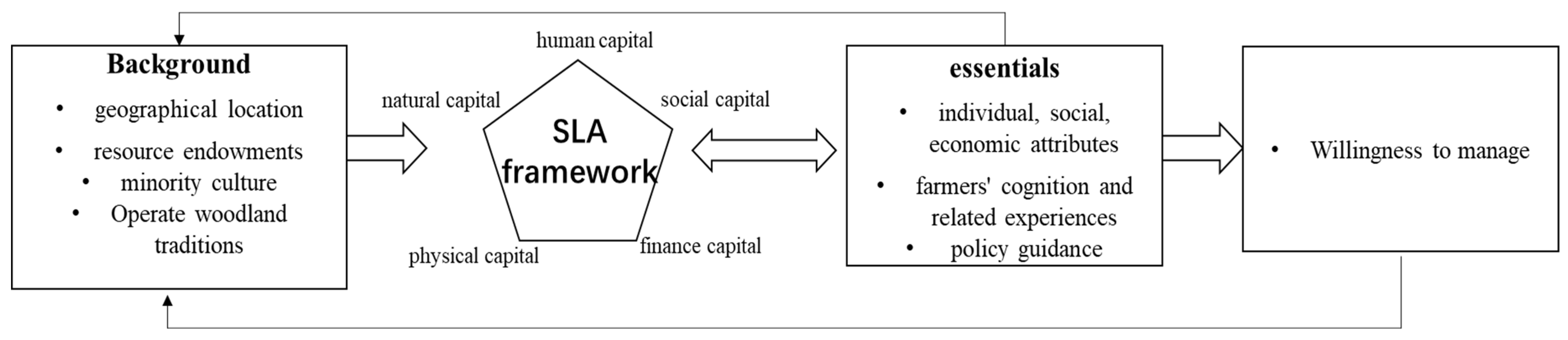 Forests 14 01377 g004