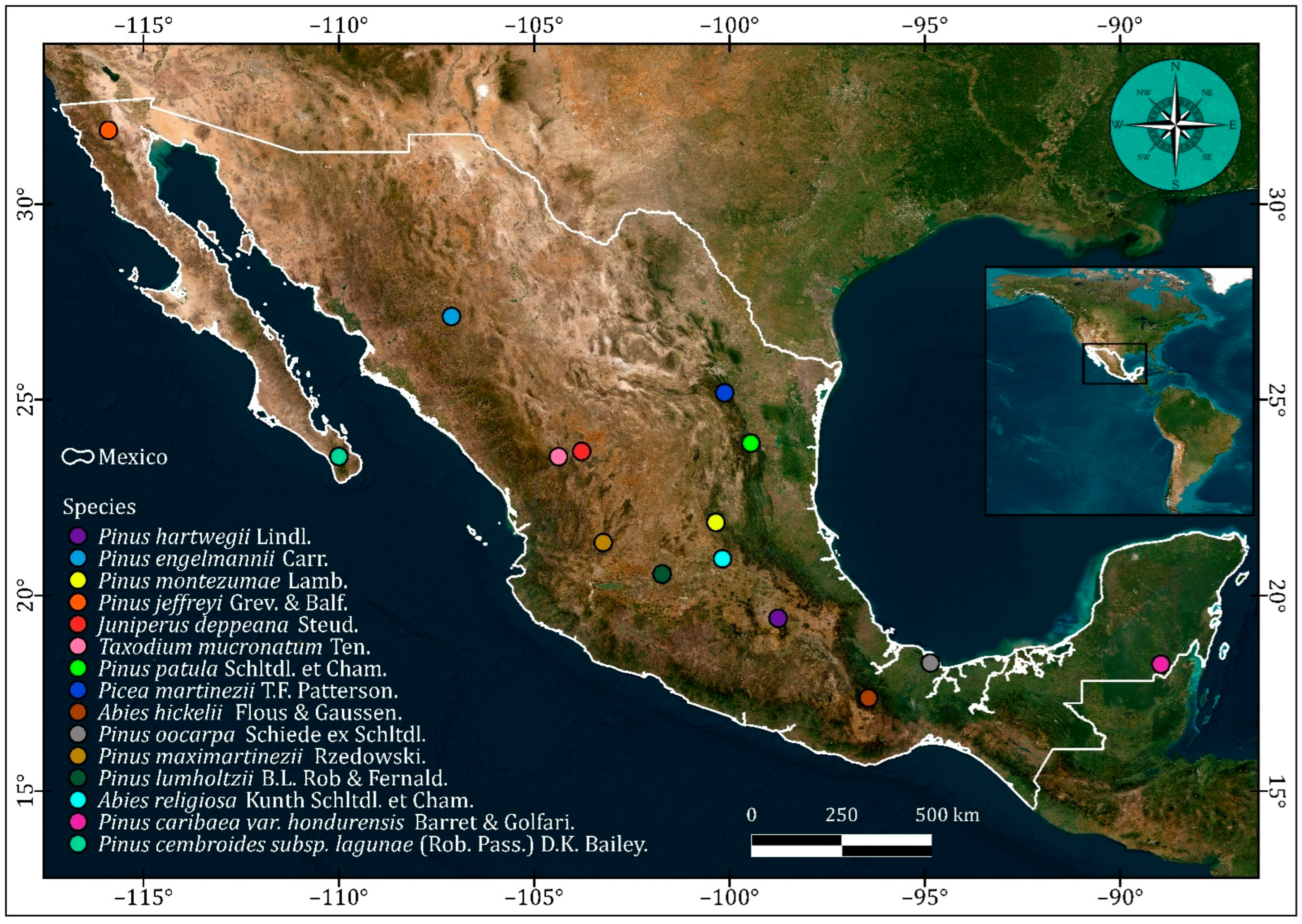 Forests 14 01381 g001 Forests 14 01381 g001